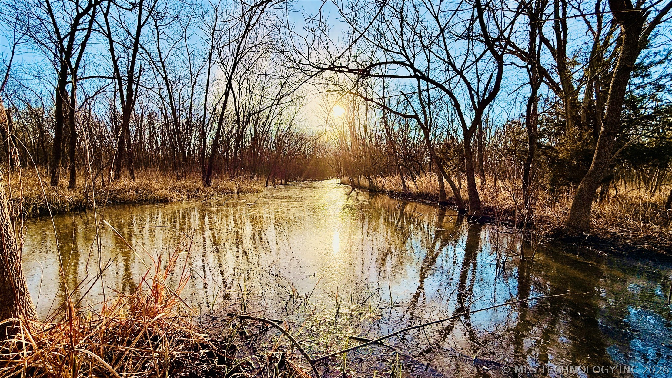 16640 Hwy 123 Road Property Photo 1