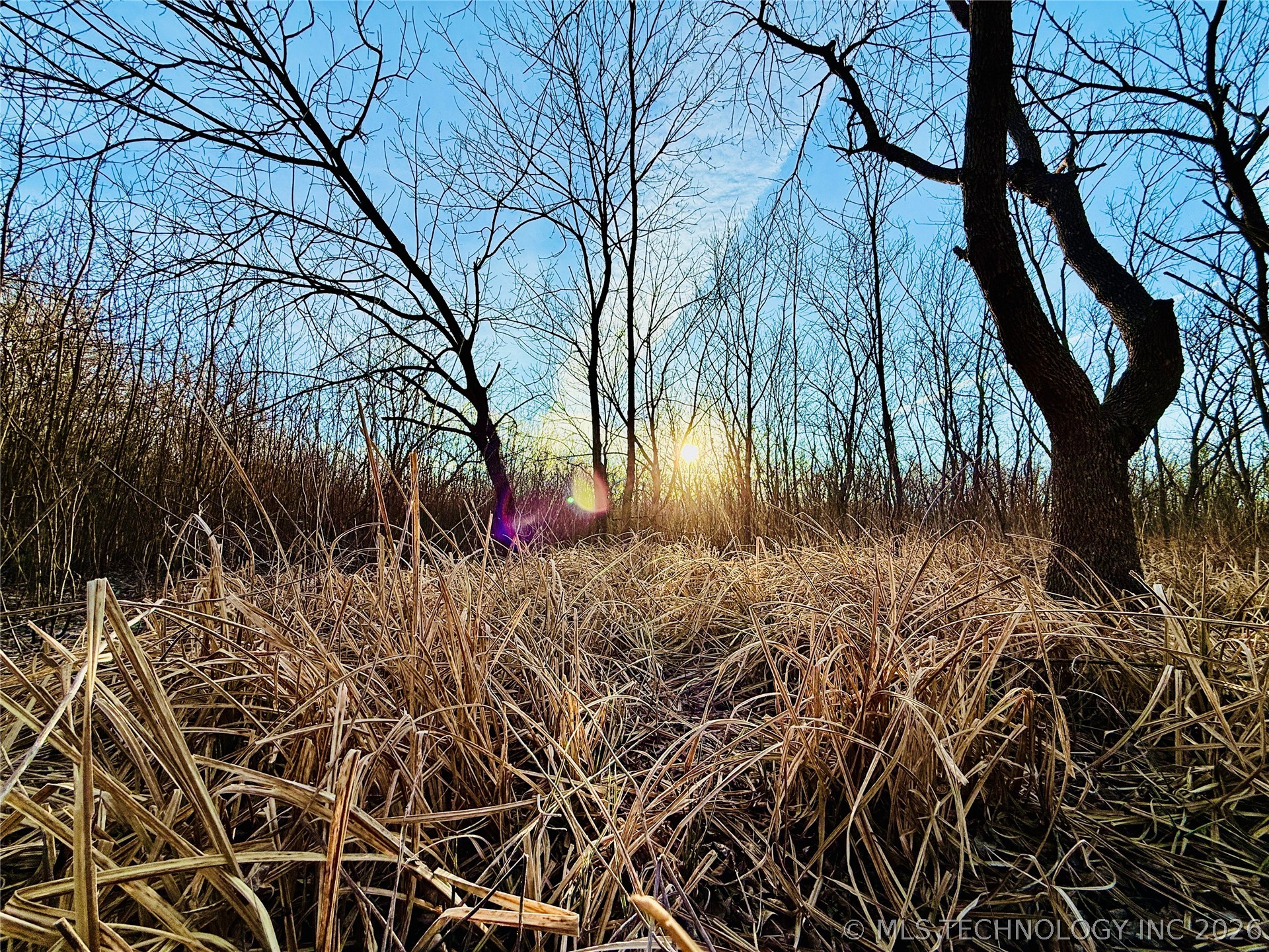 16640 Hwy 123 Road Property Photo 9