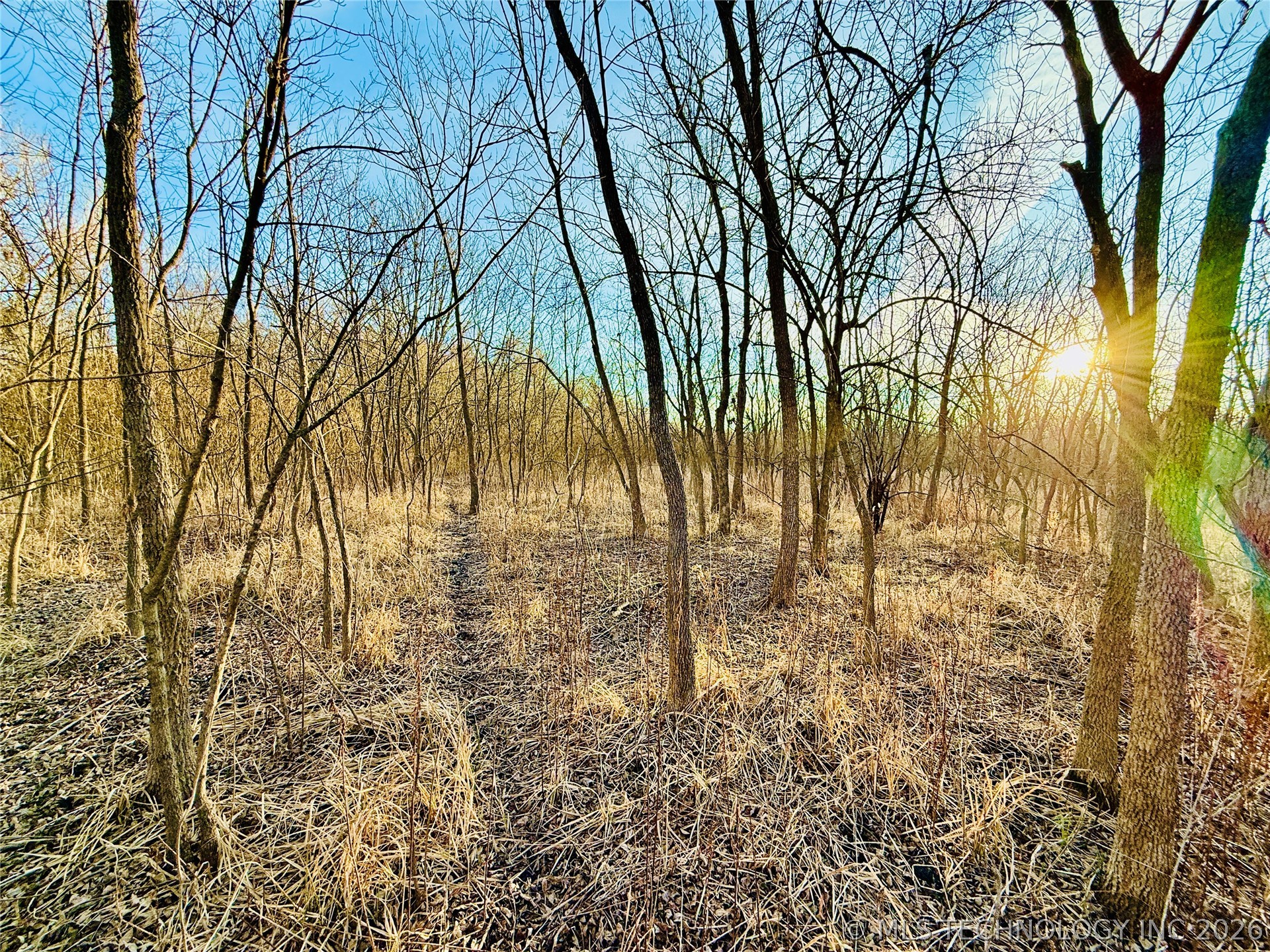 16640 Hwy 123 Road Property Photo 11