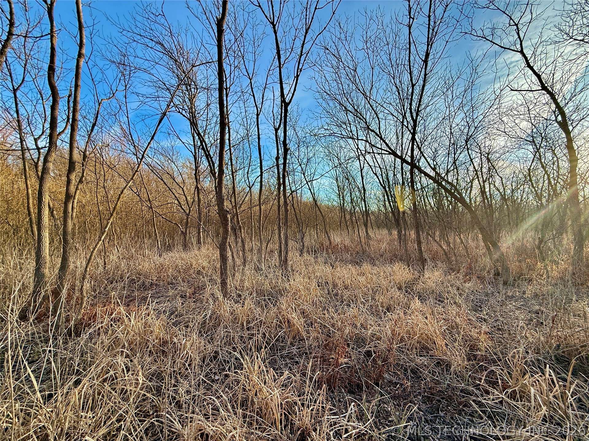 16640 Hwy 123 Road Property Photo 12