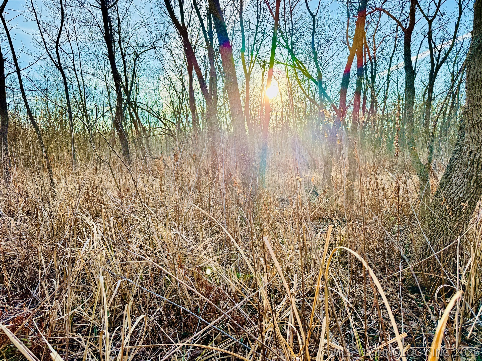 16640 Hwy 123 Road Property Photo 13