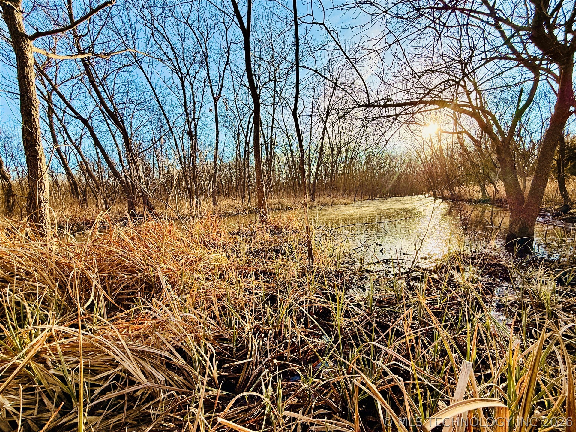 16640 Hwy 123 Road Property Photo 15