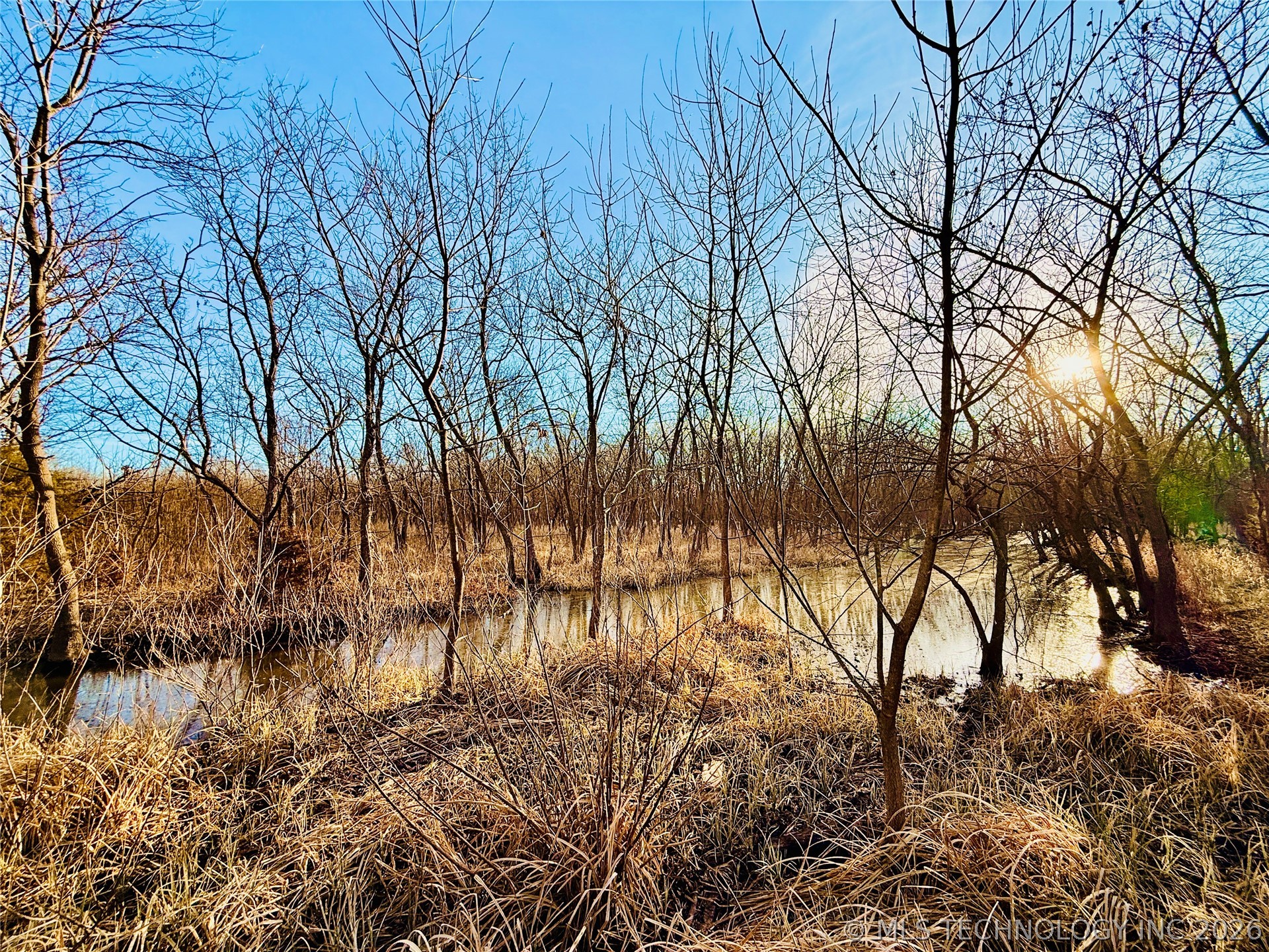 16640 Hwy 123 Road Property Photo 16