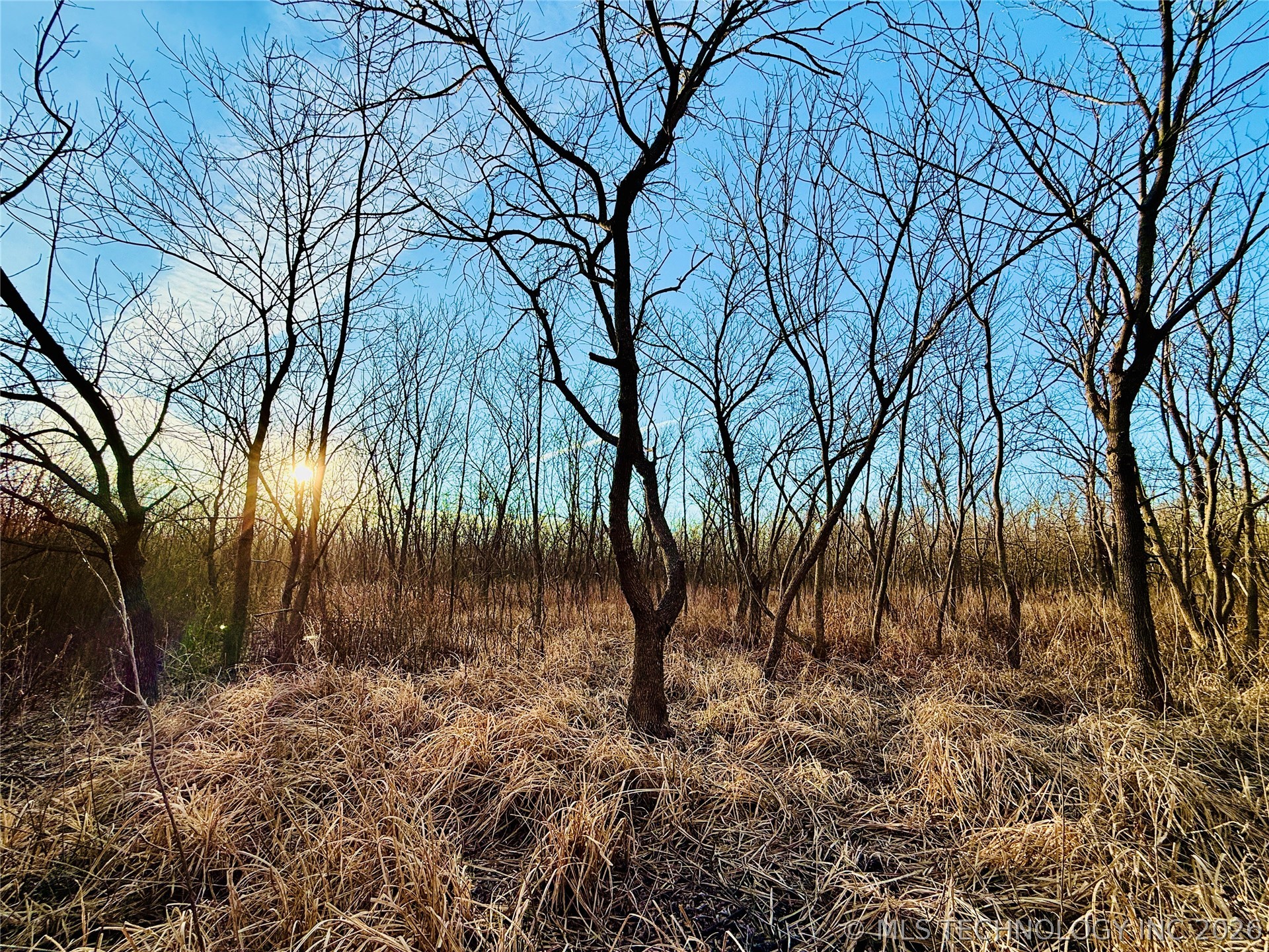 16640 Hwy 123 Road Property Photo 17