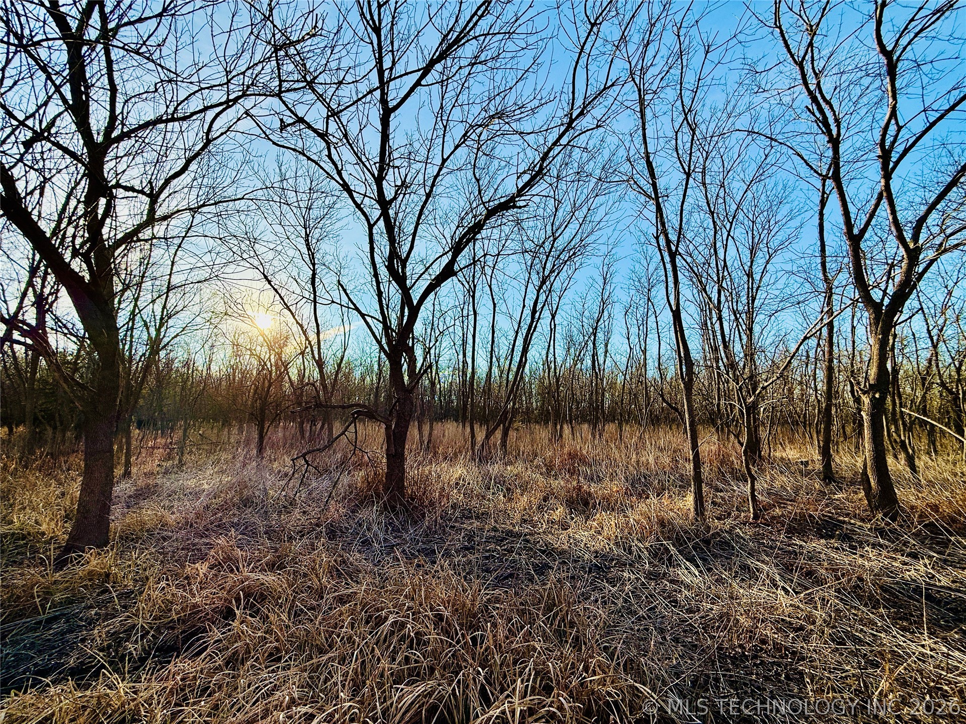 16640 Hwy 123 Road Property Photo 21