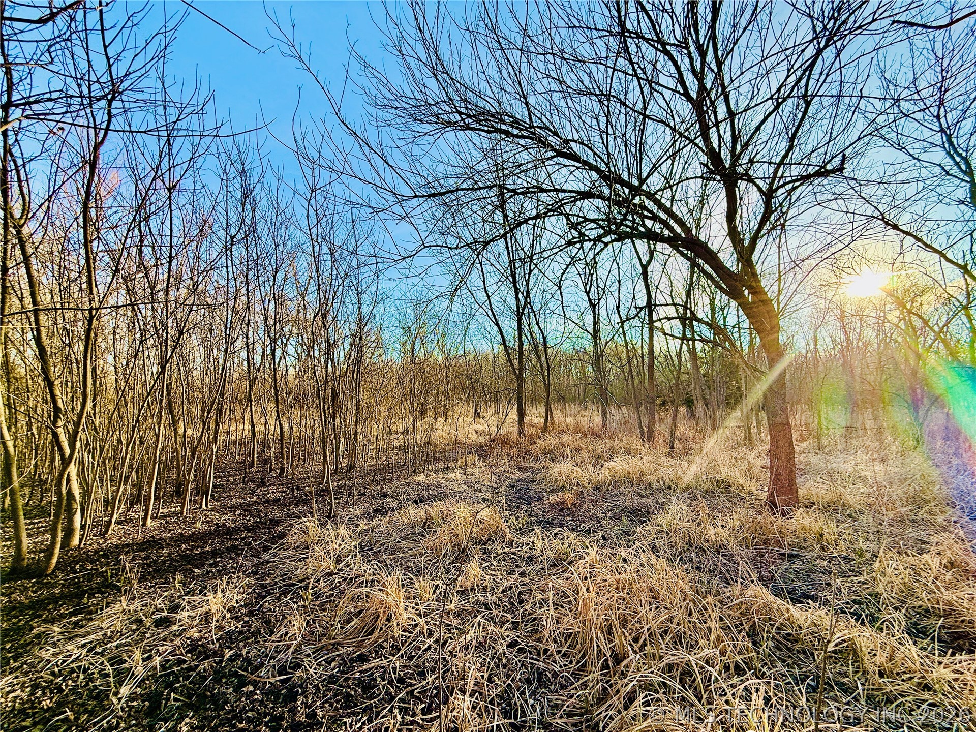 16640 Hwy 123 Road Property Photo 22