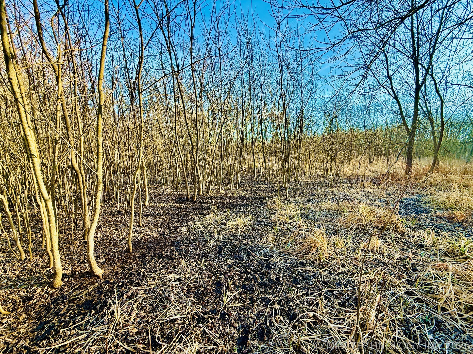 16640 Hwy 123 Road Property Photo 23