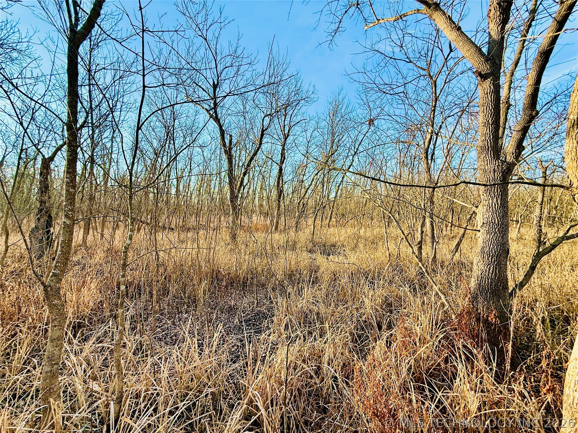 16640 Hwy 123 Road Property Photo 24