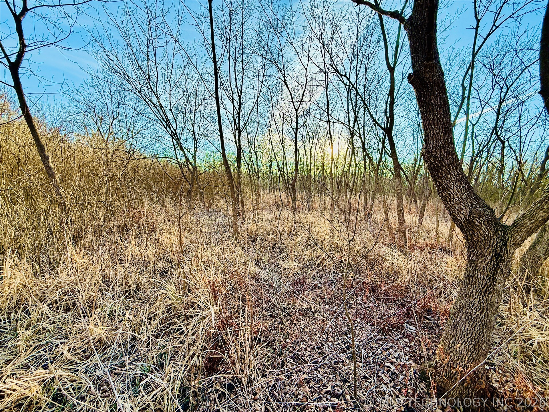 16640 Hwy 123 Road Property Photo 25