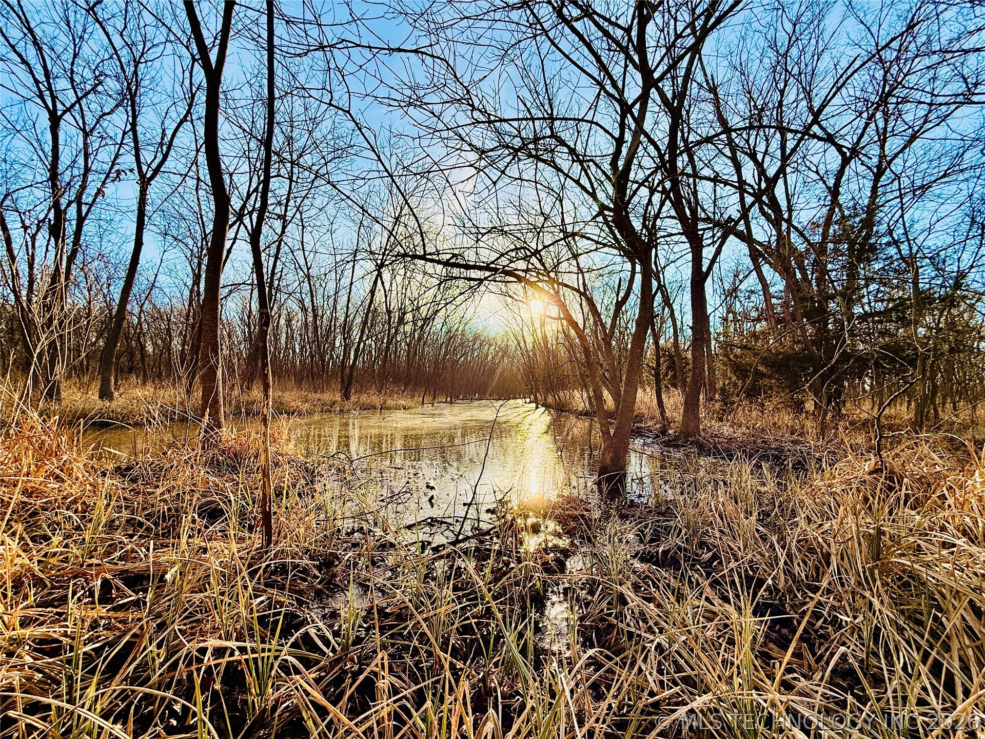 16640 Hwy 123 Road Property Photo 27