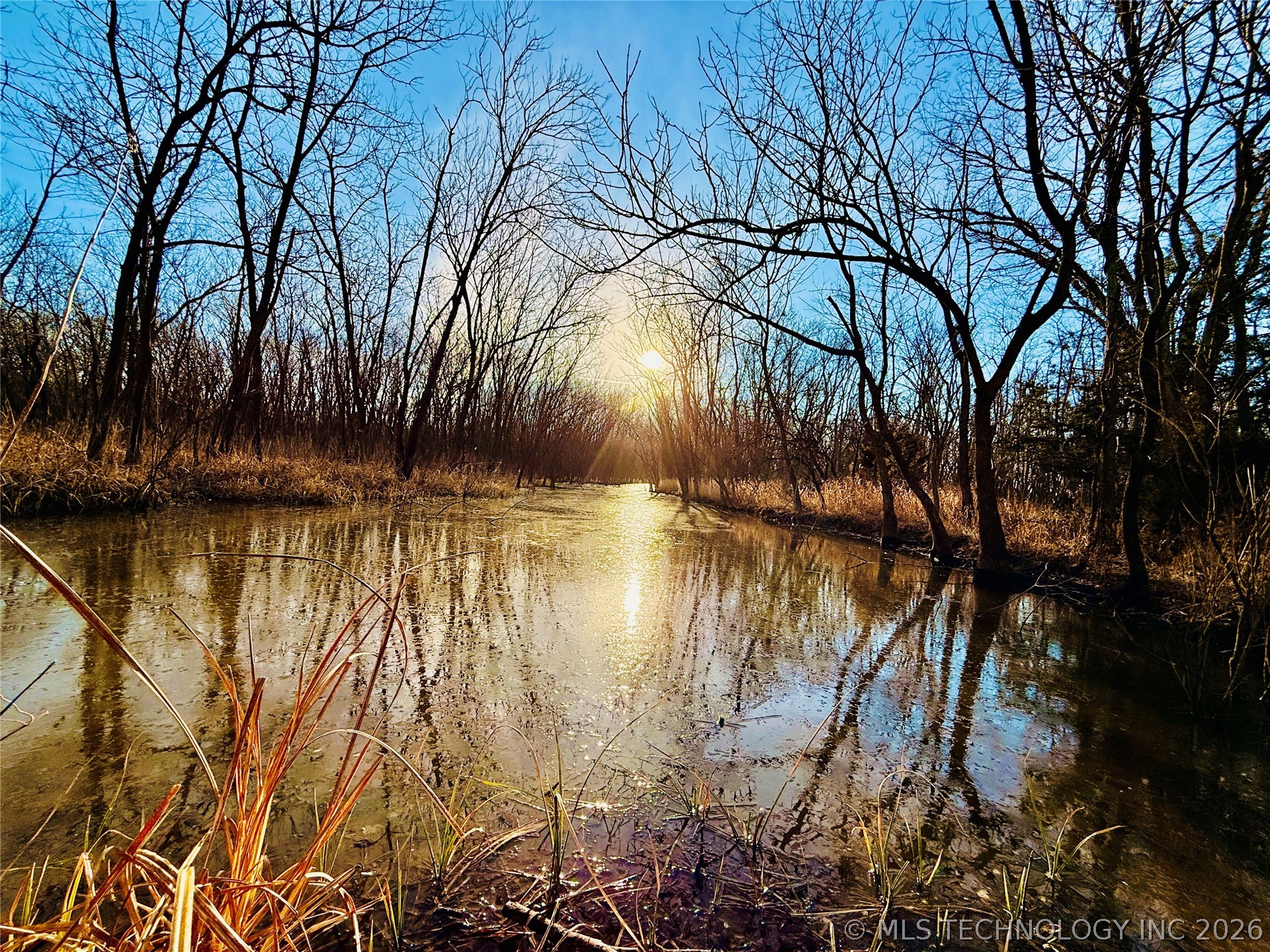 16640 Hwy 123 Road Property Photo 28