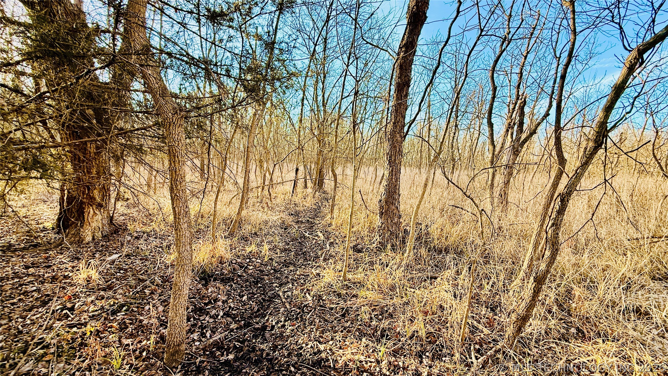 16640 Hwy 123 Road Property Photo 29