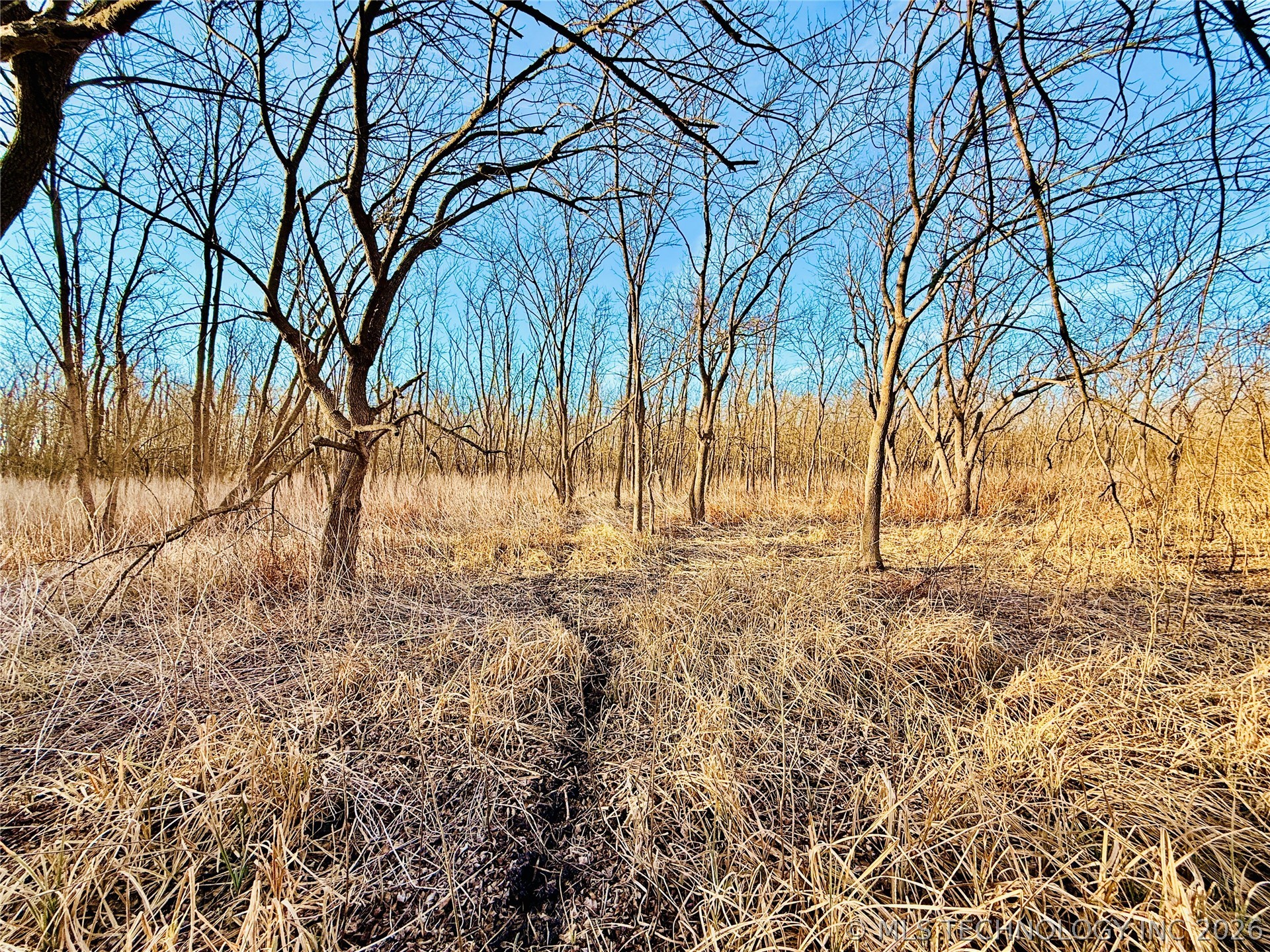 16640 Hwy 123 Road Property Photo 30