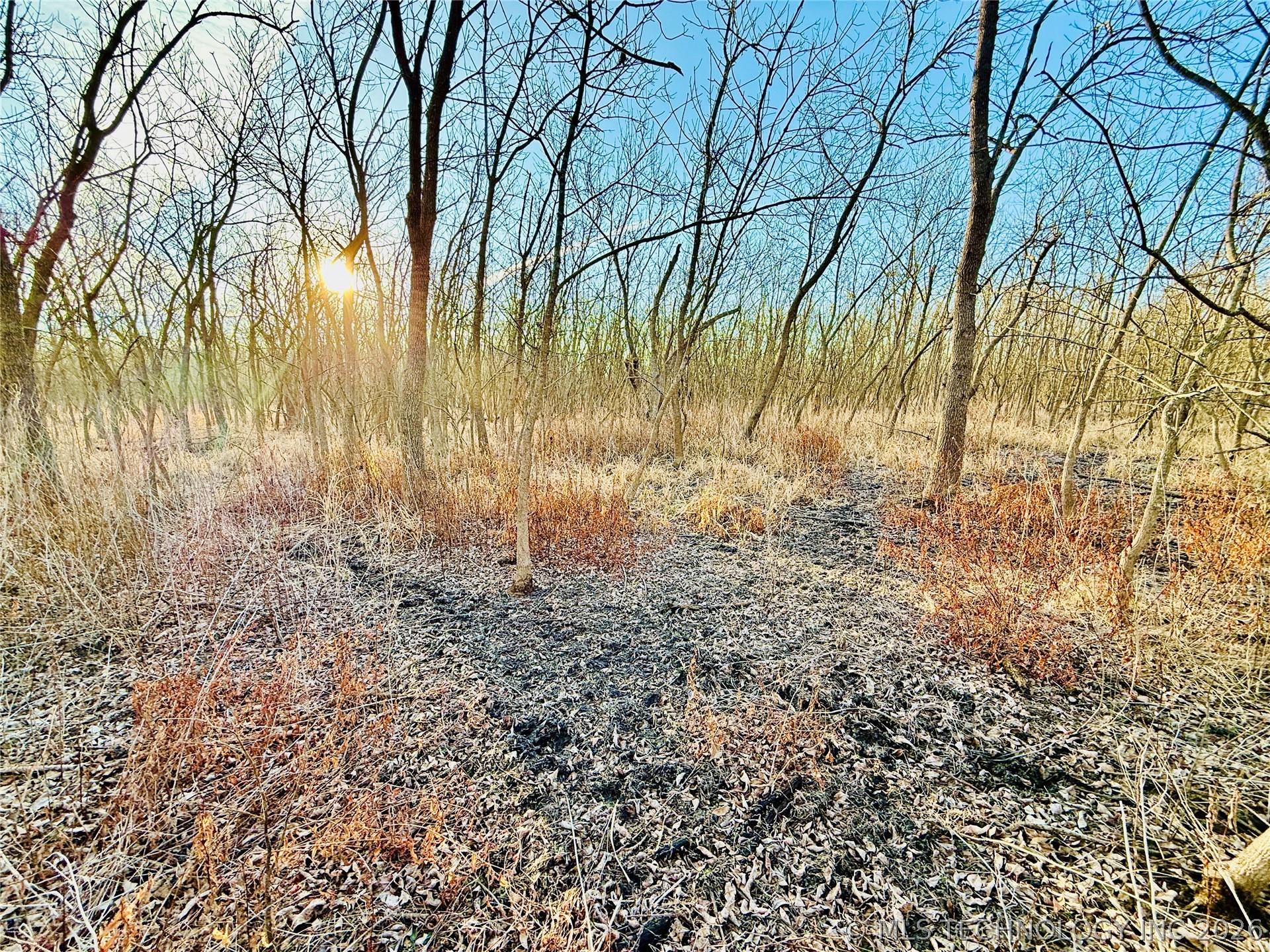 16640 Hwy 123 Road Property Photo 31