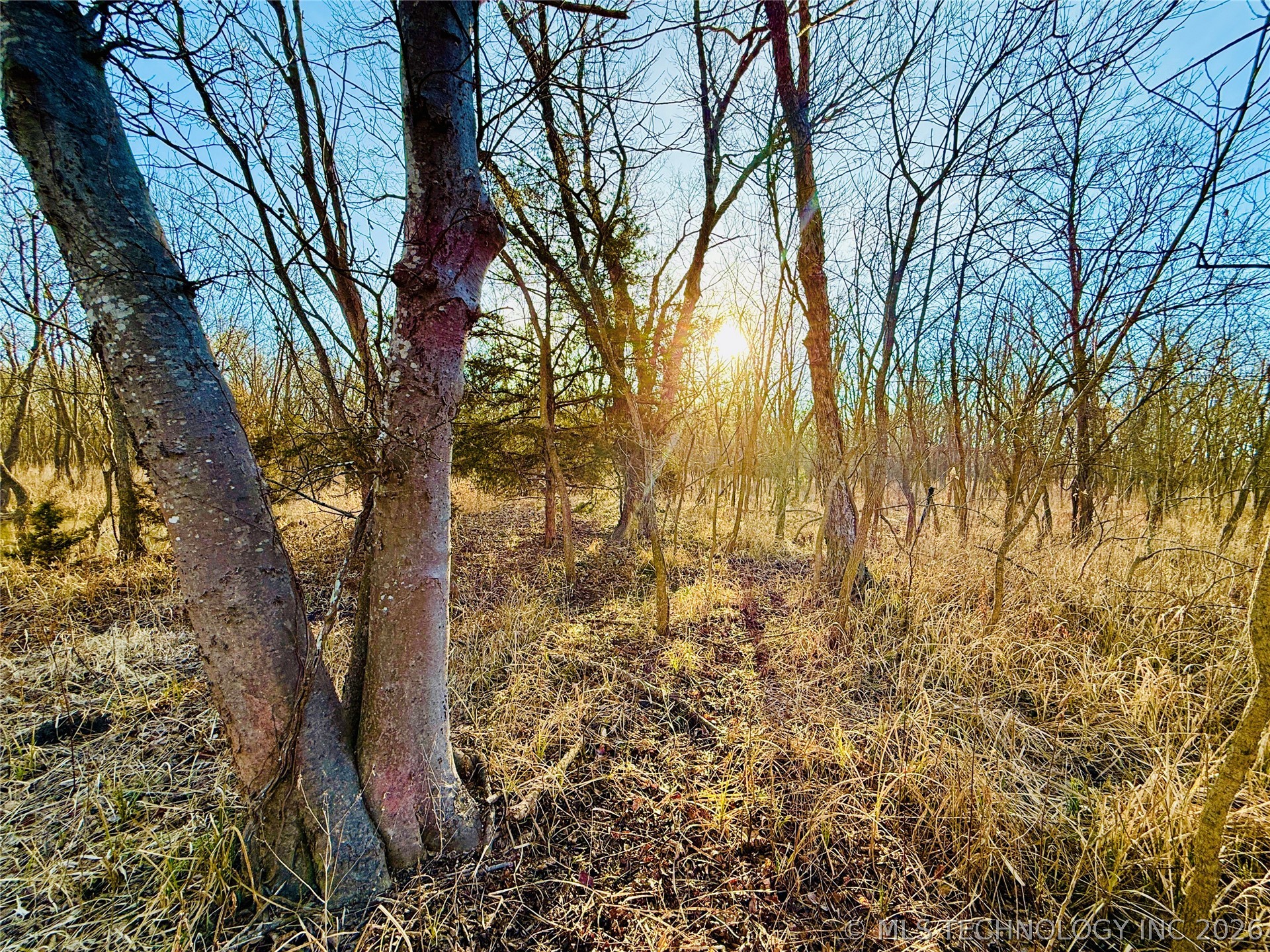 16640 Hwy 123 Road Property Photo 32