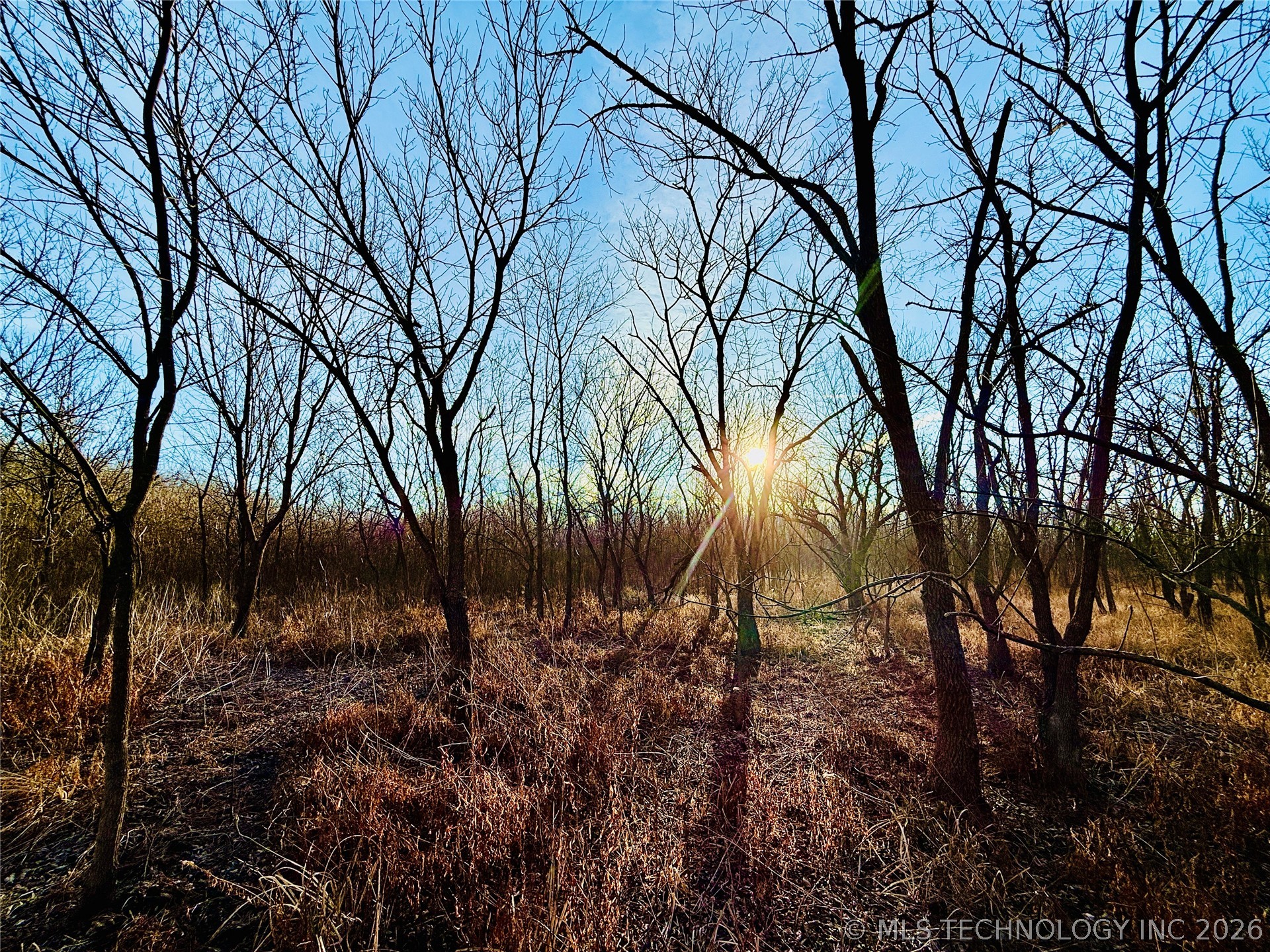 16640 Hwy 123 Road Property Photo 33