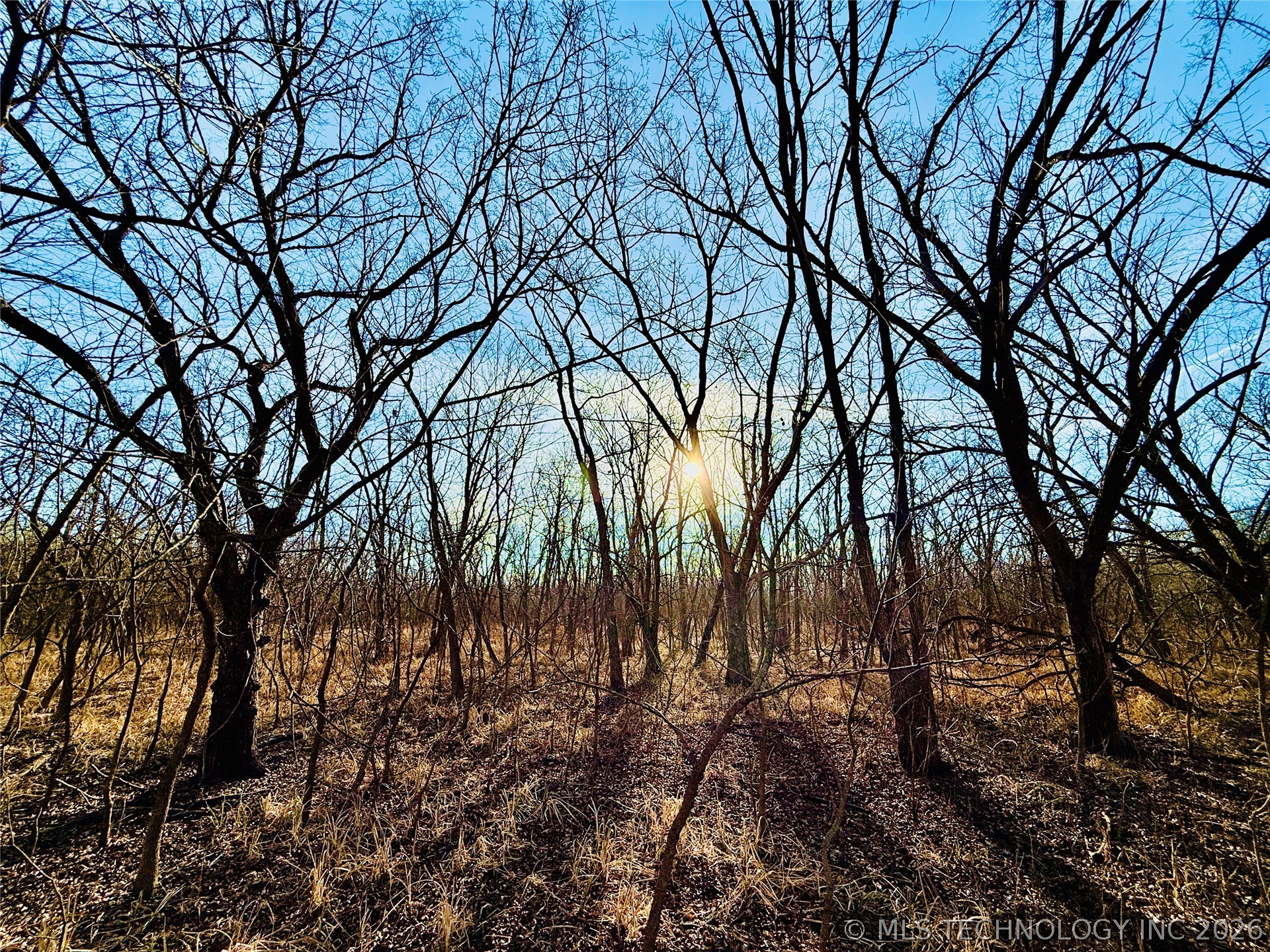 16640 Hwy 123 Road Property Photo 34