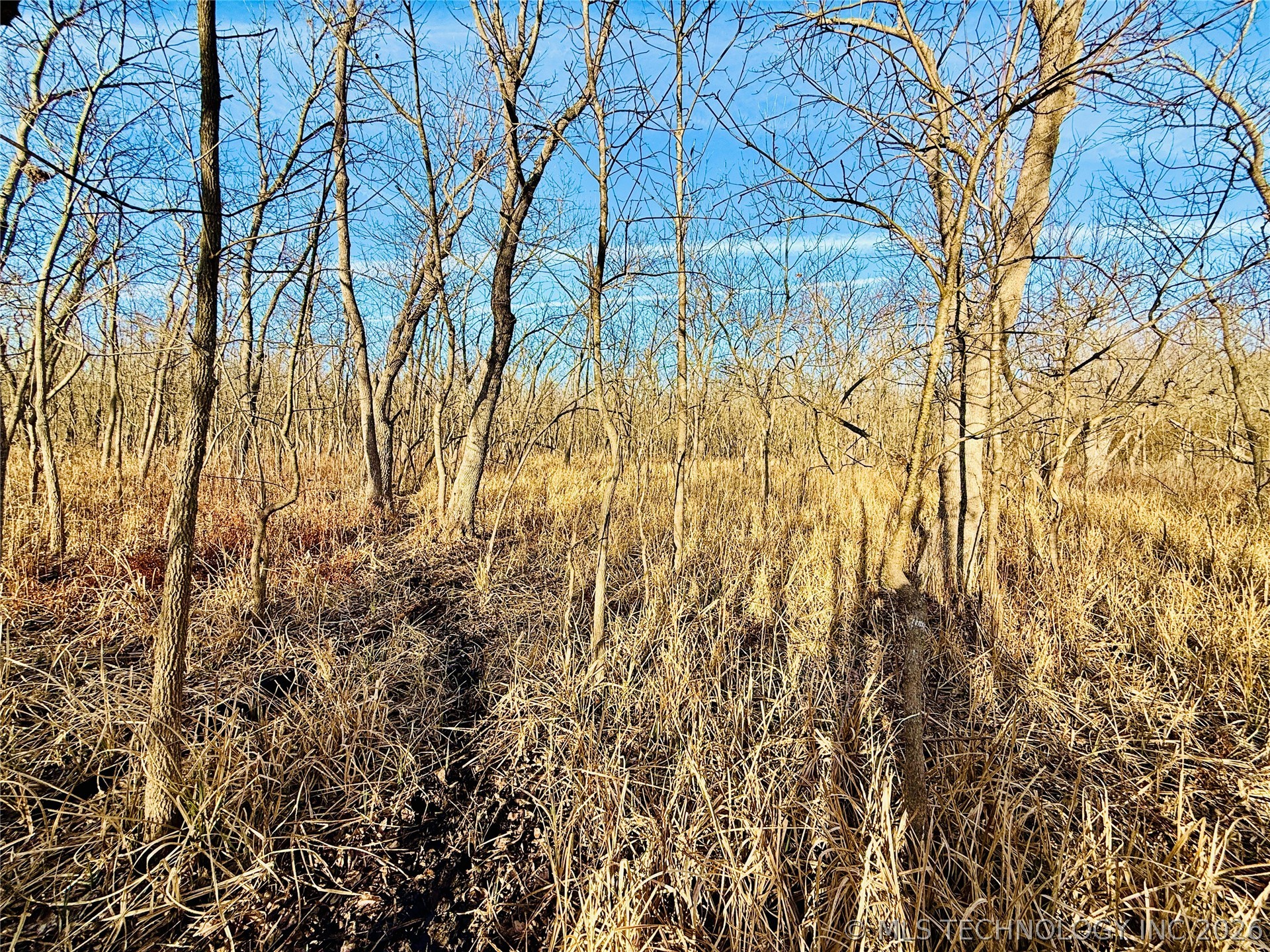 16640 Hwy 123 Road Property Photo 35