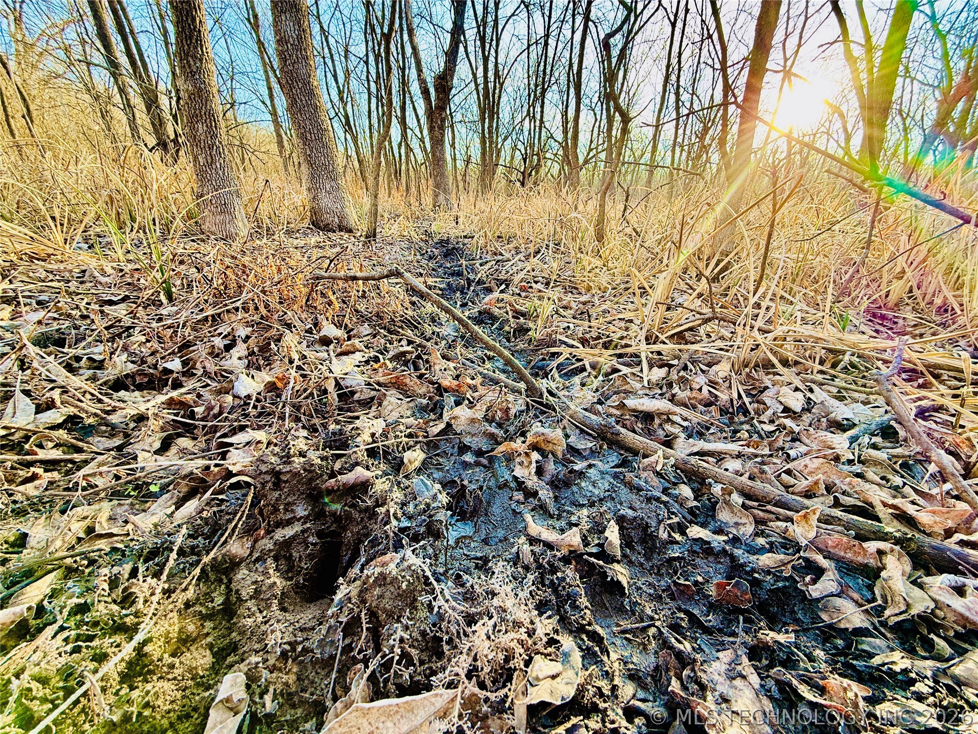 16640 Hwy 123 Road Property Photo 36