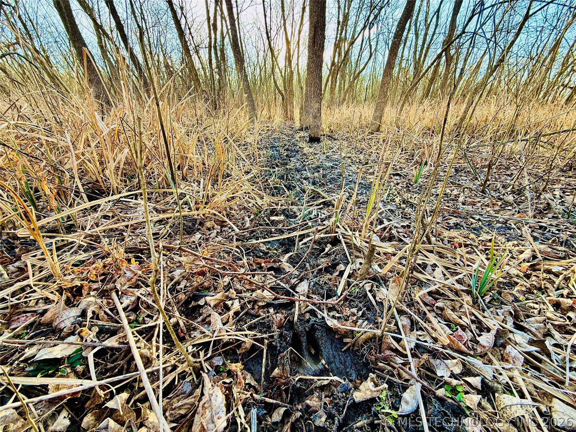 16640 Hwy 123 Road Property Photo 37