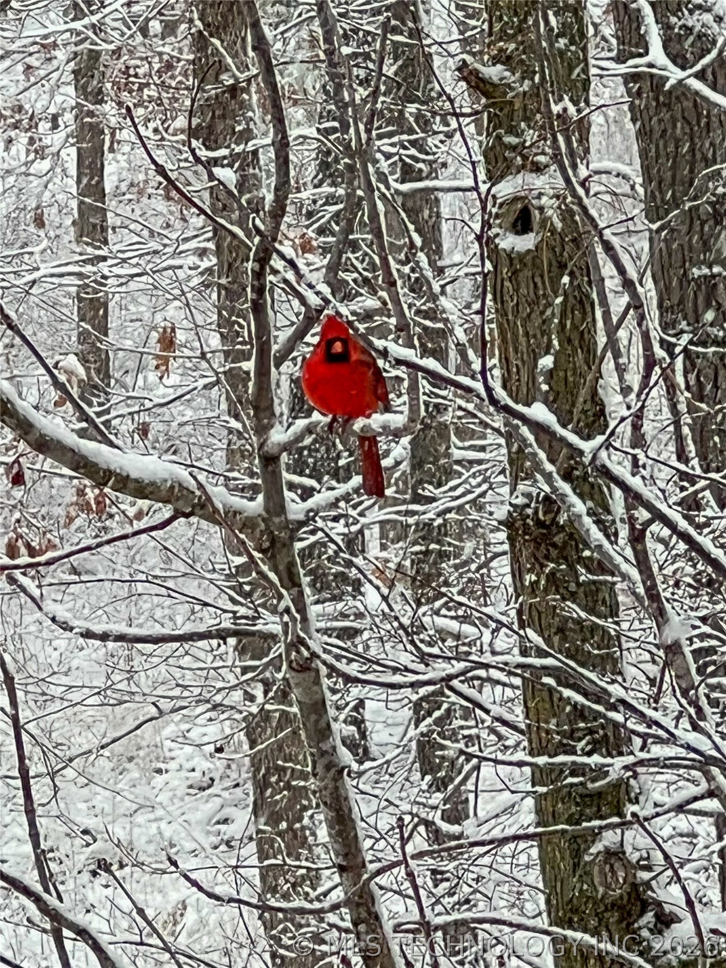 449 Private Road 065 Road Property Photo 76