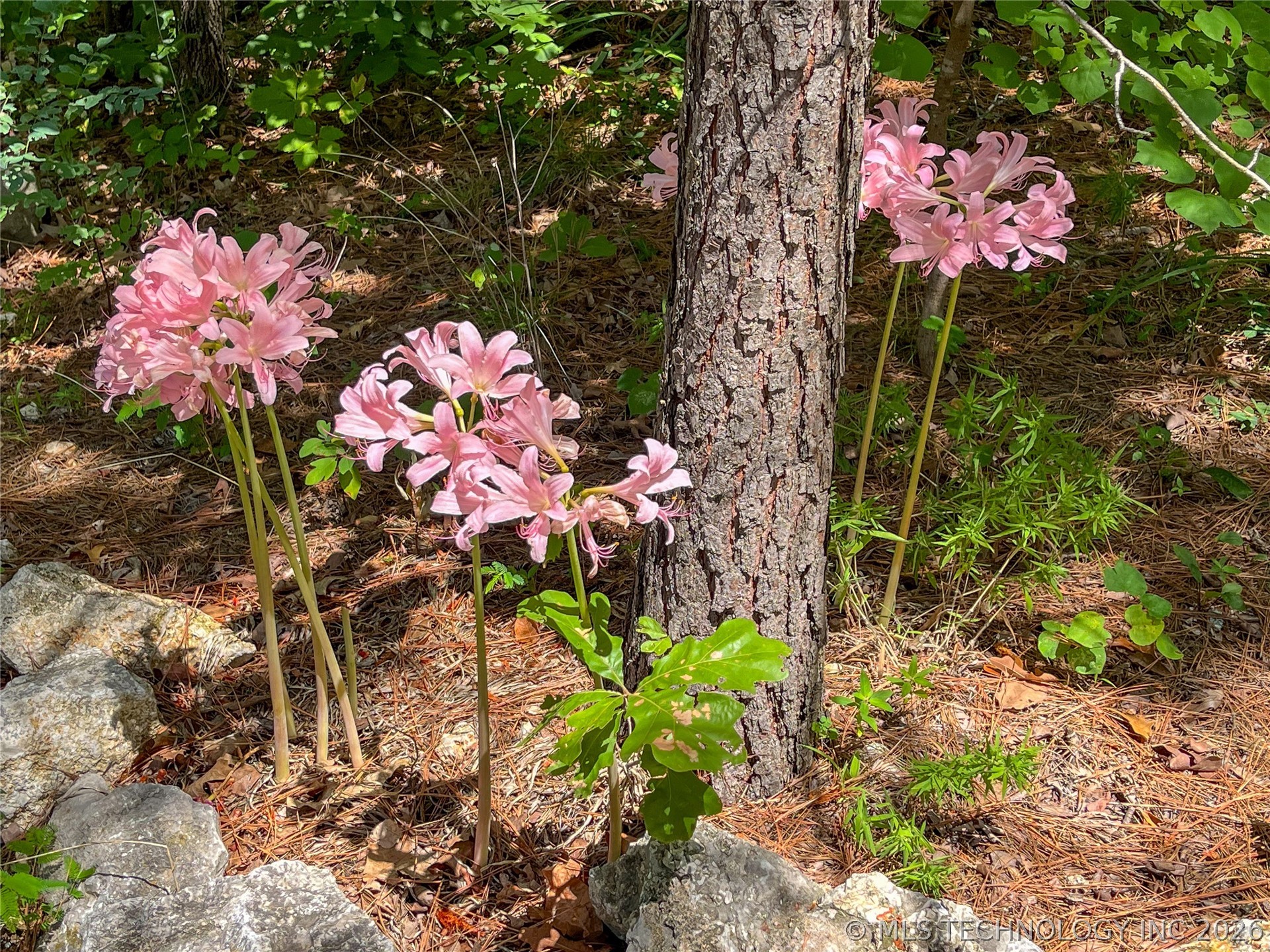 449 Private Road 065 Road Property Photo 77