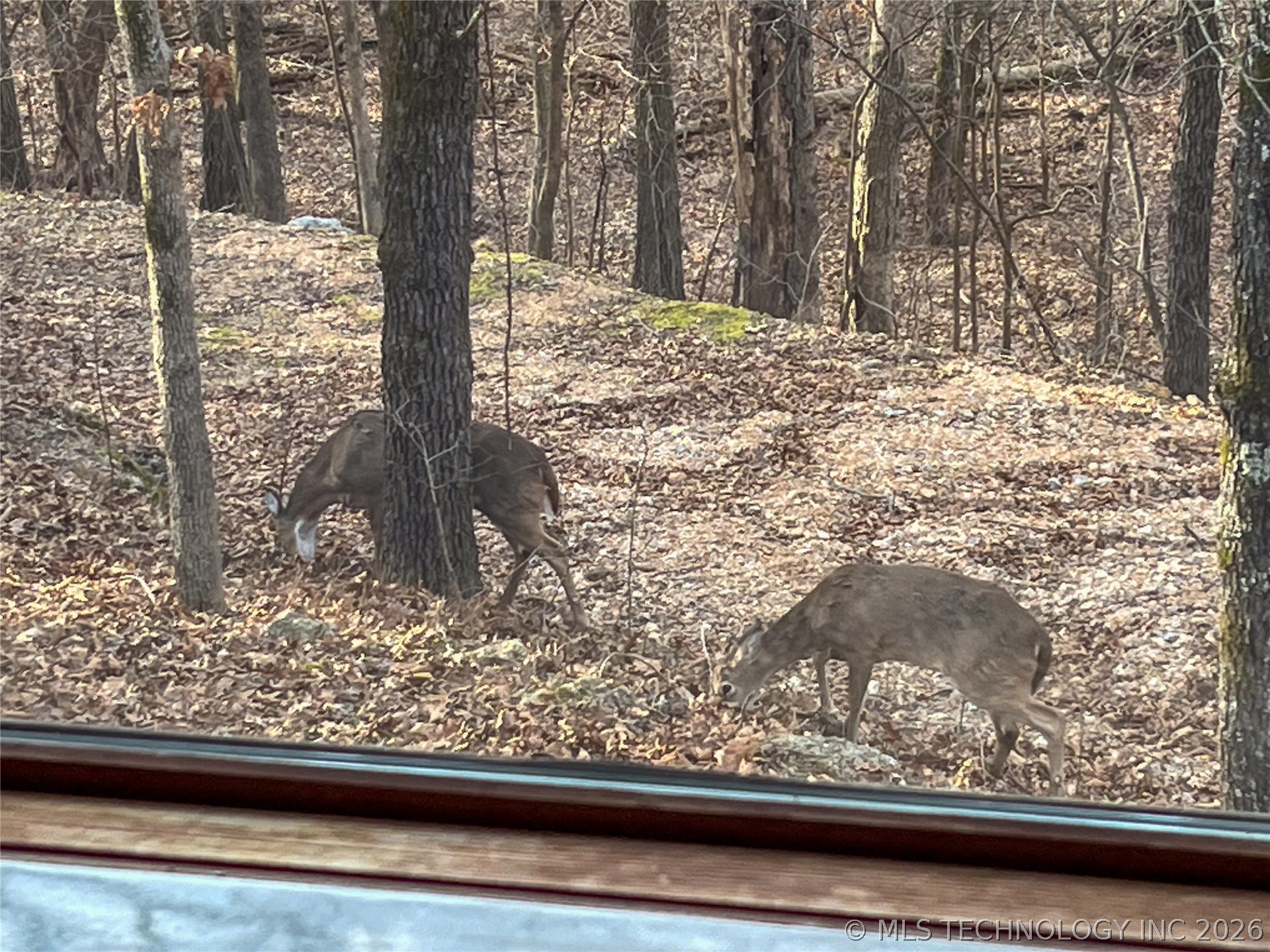 449 Private Road 065 Road Property Photo 78