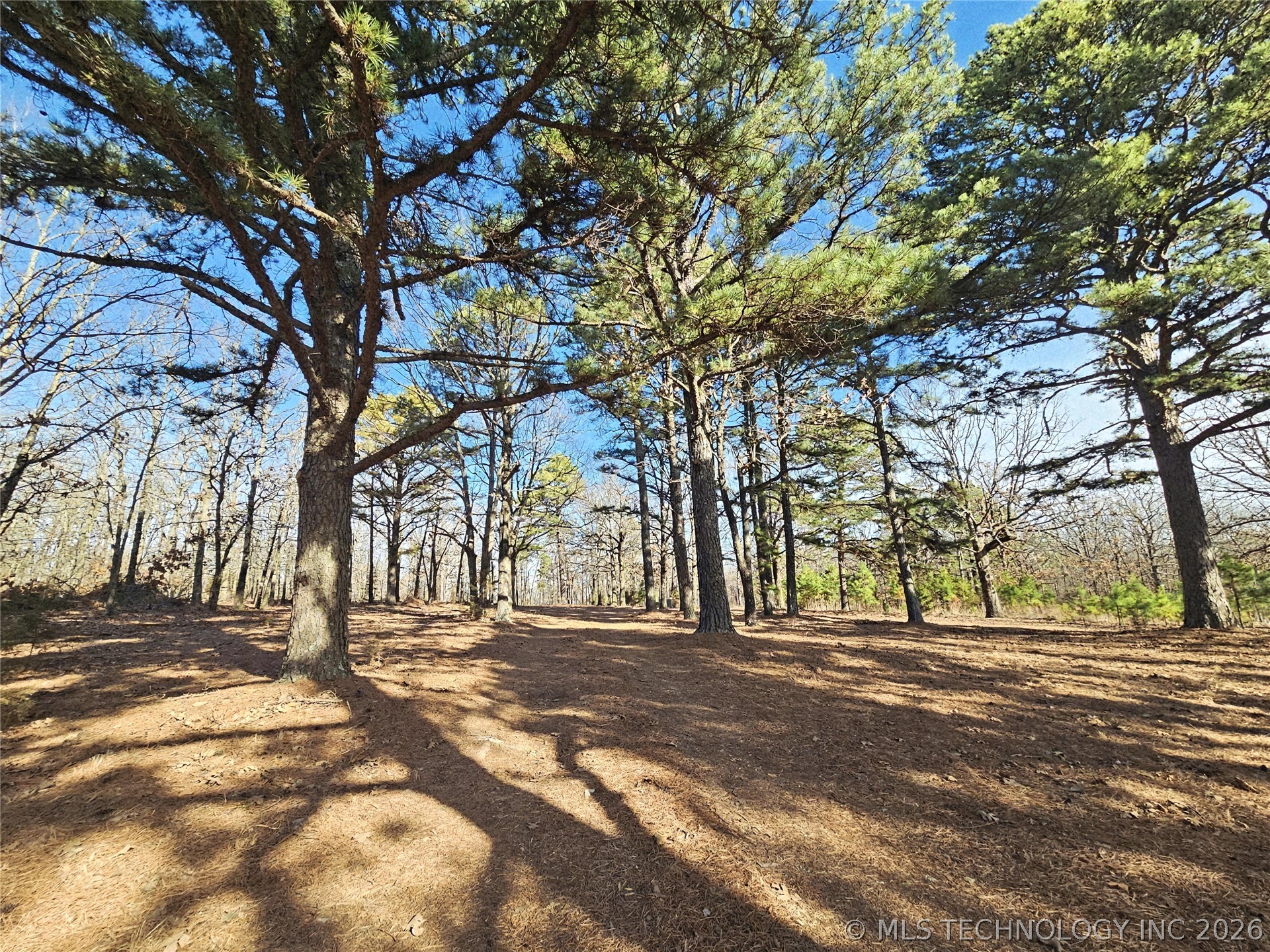 E 586 Road Property Photo 12