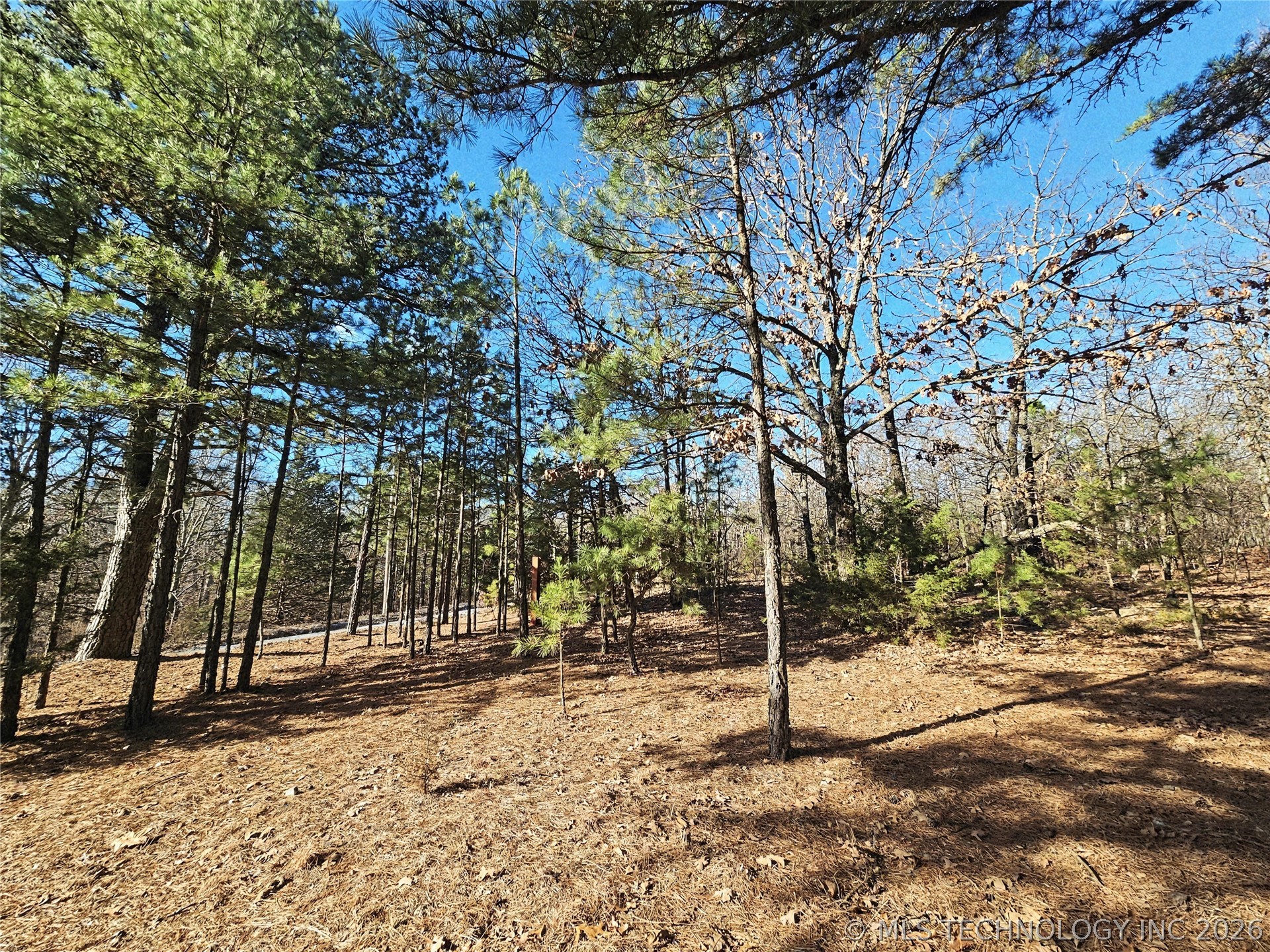 E 586 Road Property Photo 13