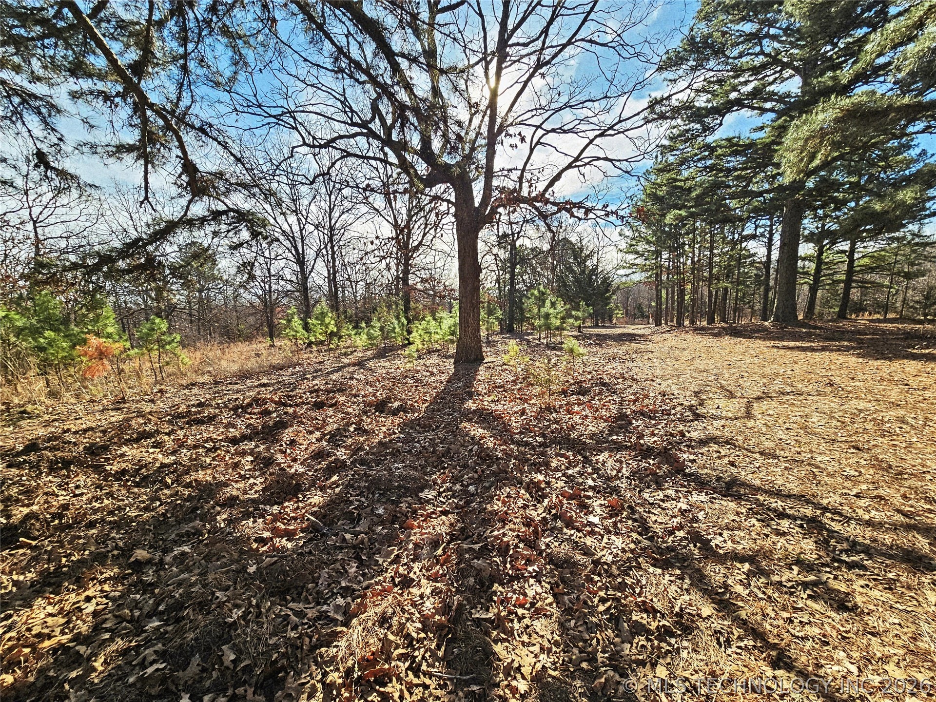 E 586 Road Property Photo 17