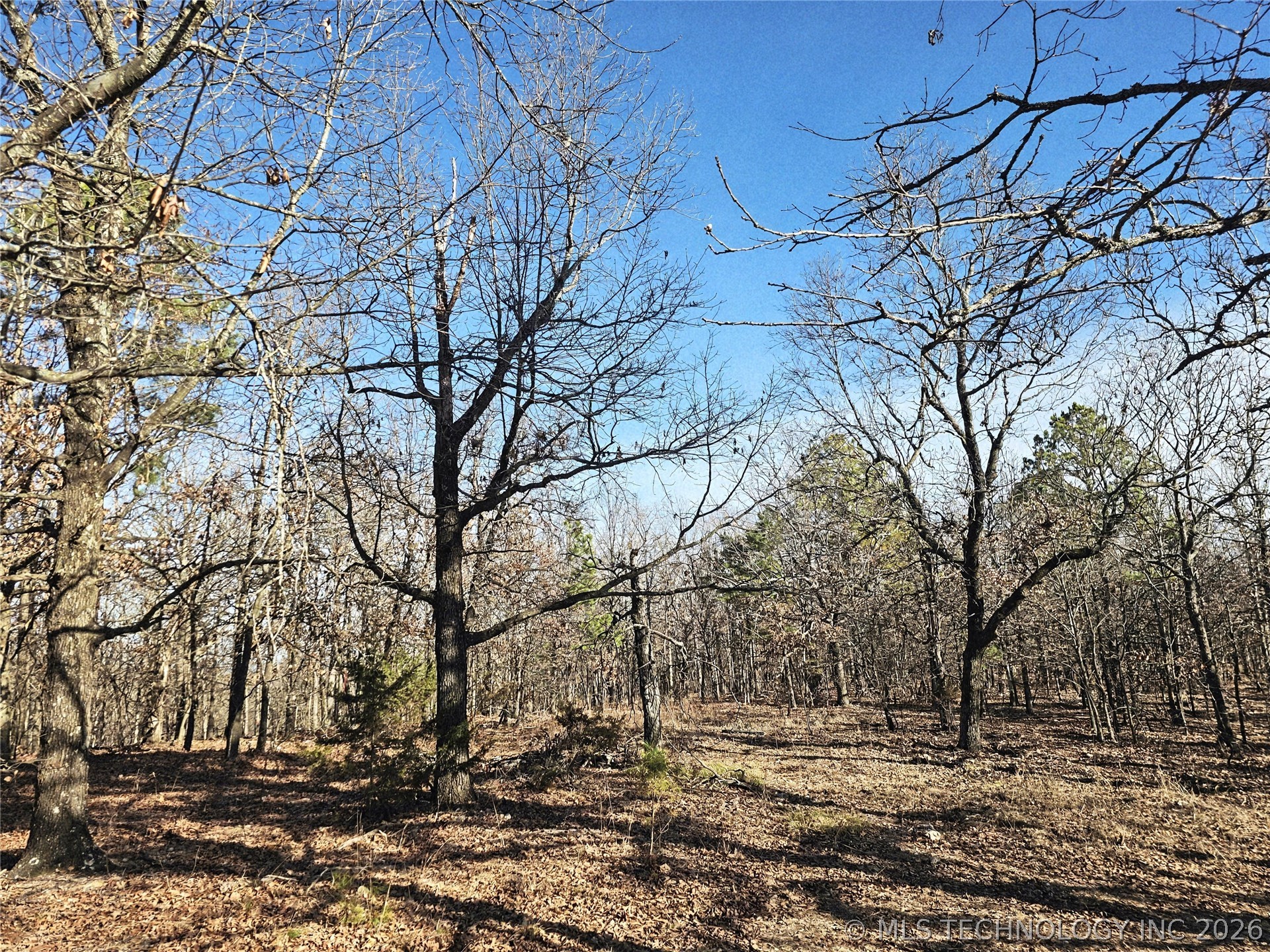 E 586 Road Property Photo 19