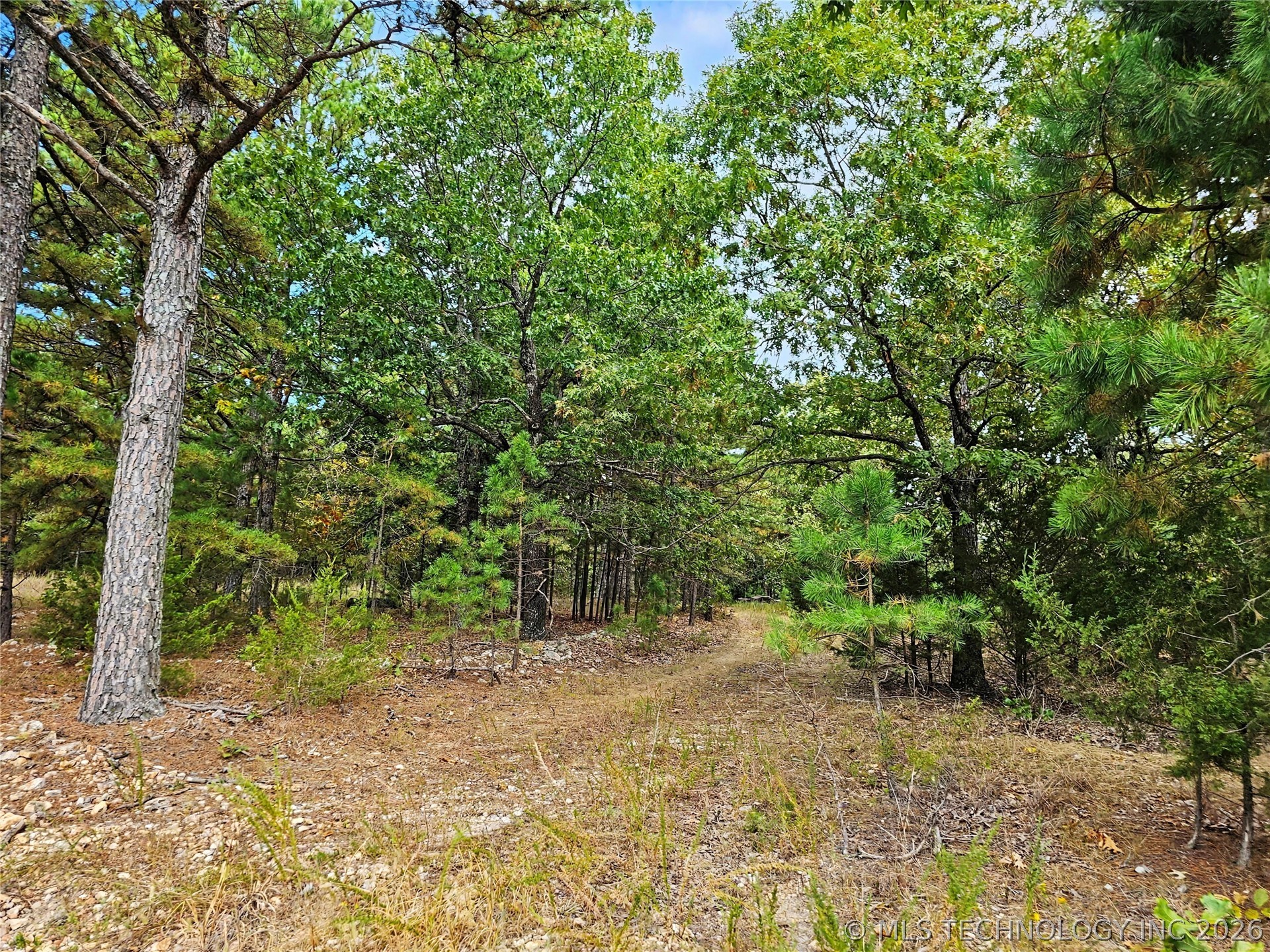 E 586 Road Property Photo 22