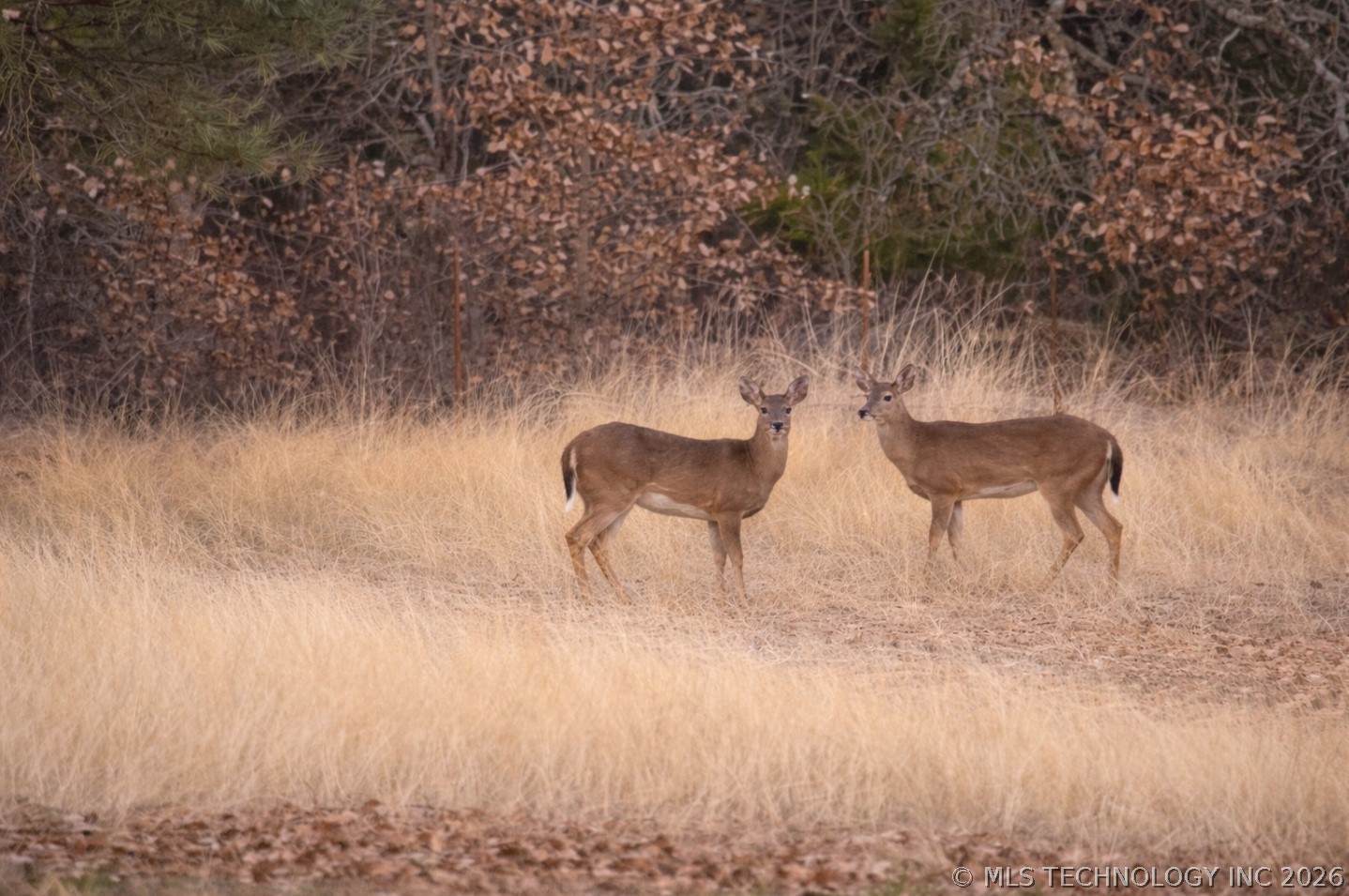 8412 Texoma Hills Road Property Photo 25