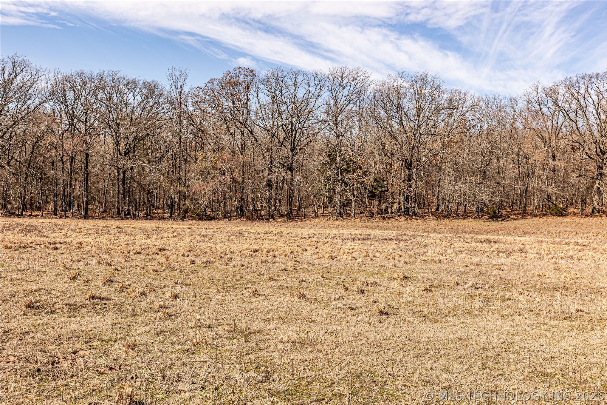 Folsom Road Property Photo 4