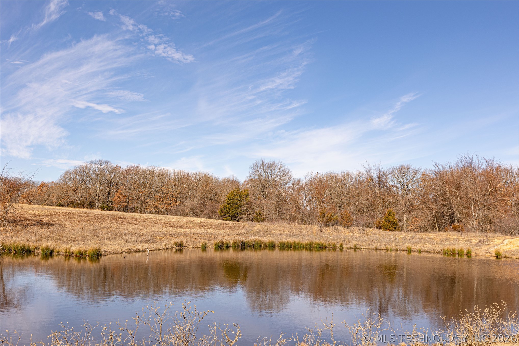 Folsom Road Property Photo 6