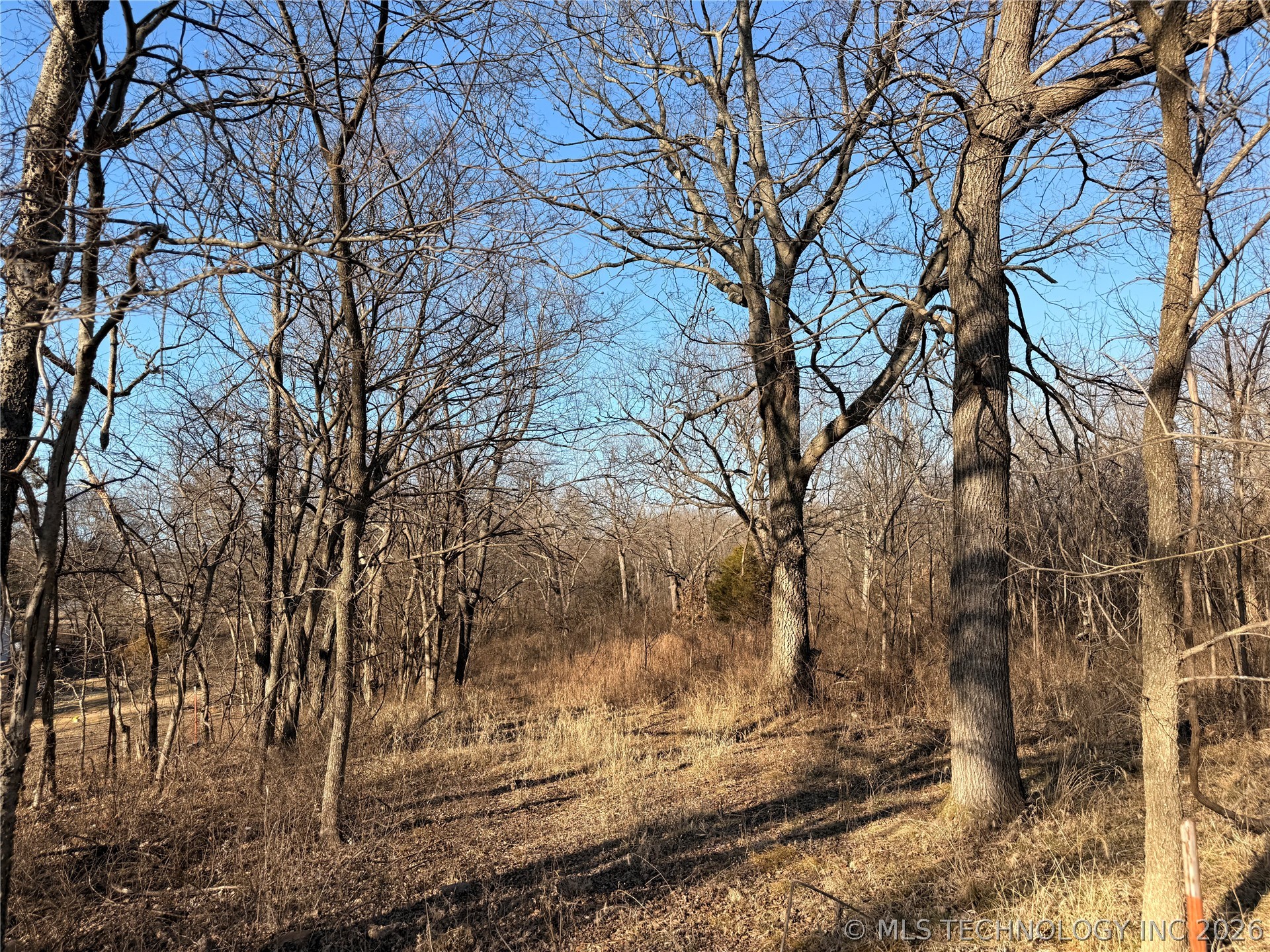 2 W 703 Road Property Photo 4