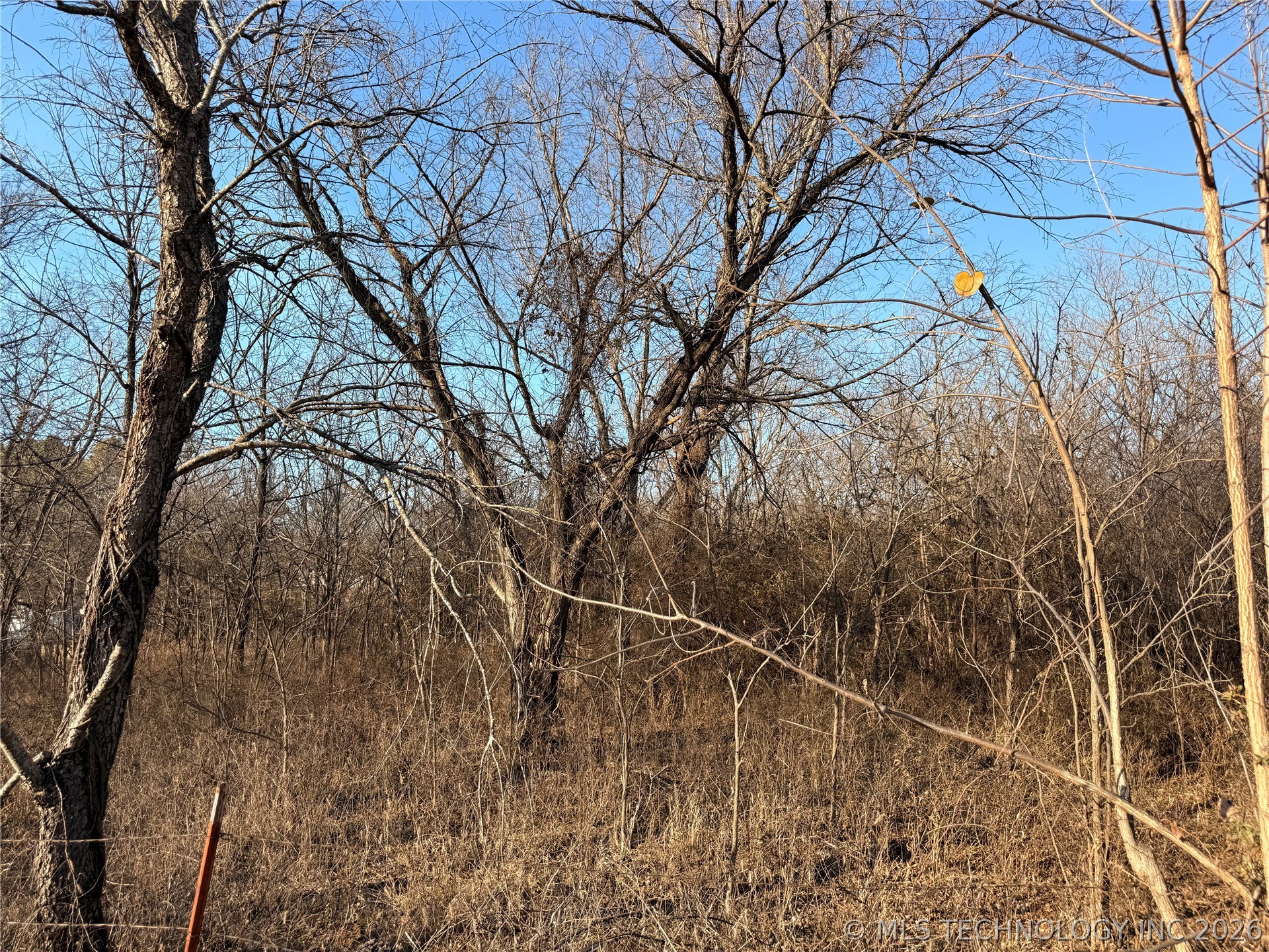 2 W 703 Road Property Photo 5