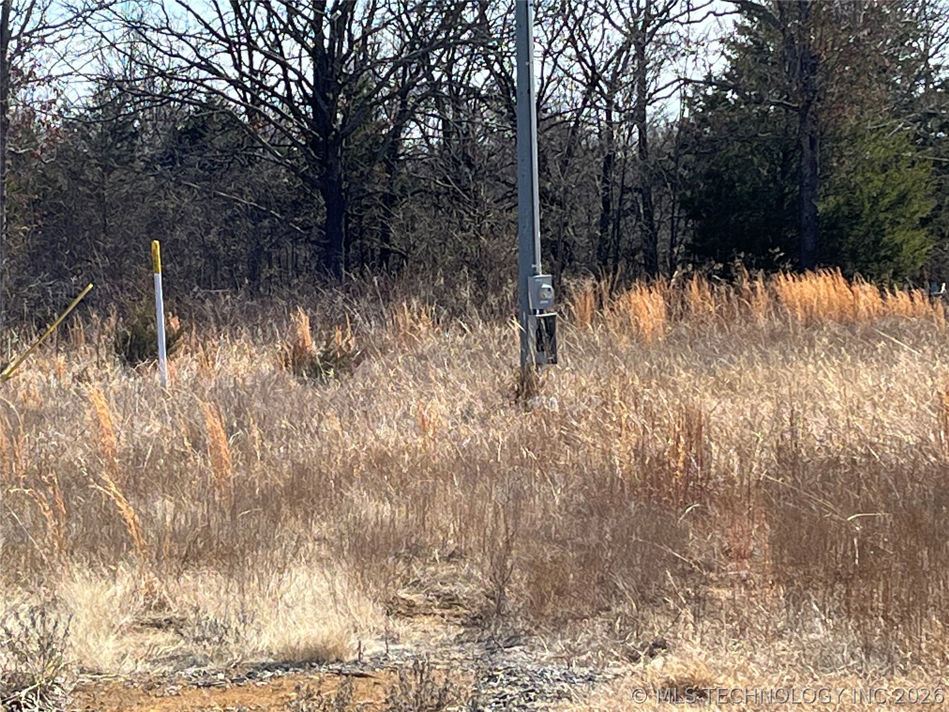 9226 County Road 3647 Property Photo 4