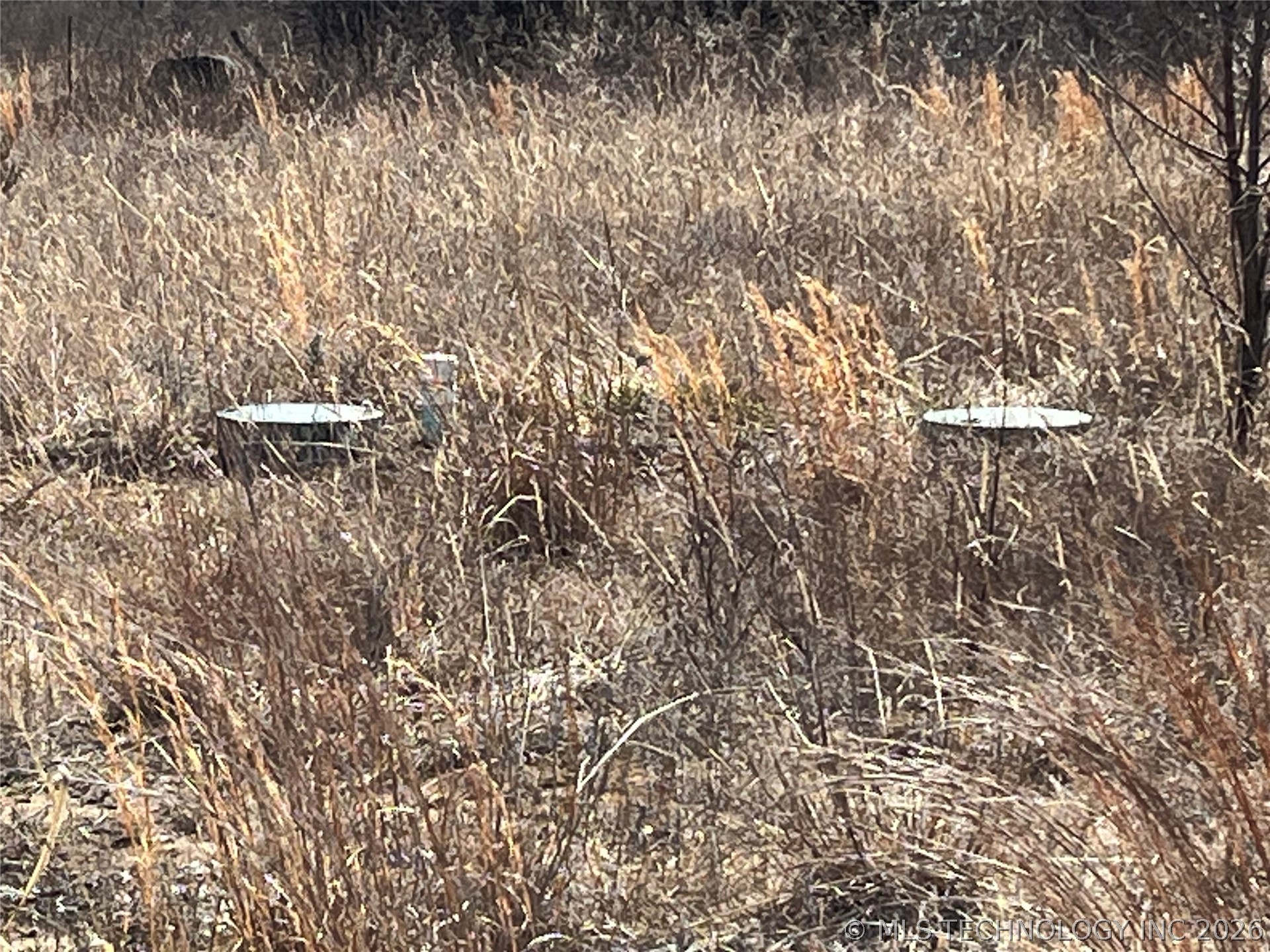 9226 County Road 3647 Property Photo 6