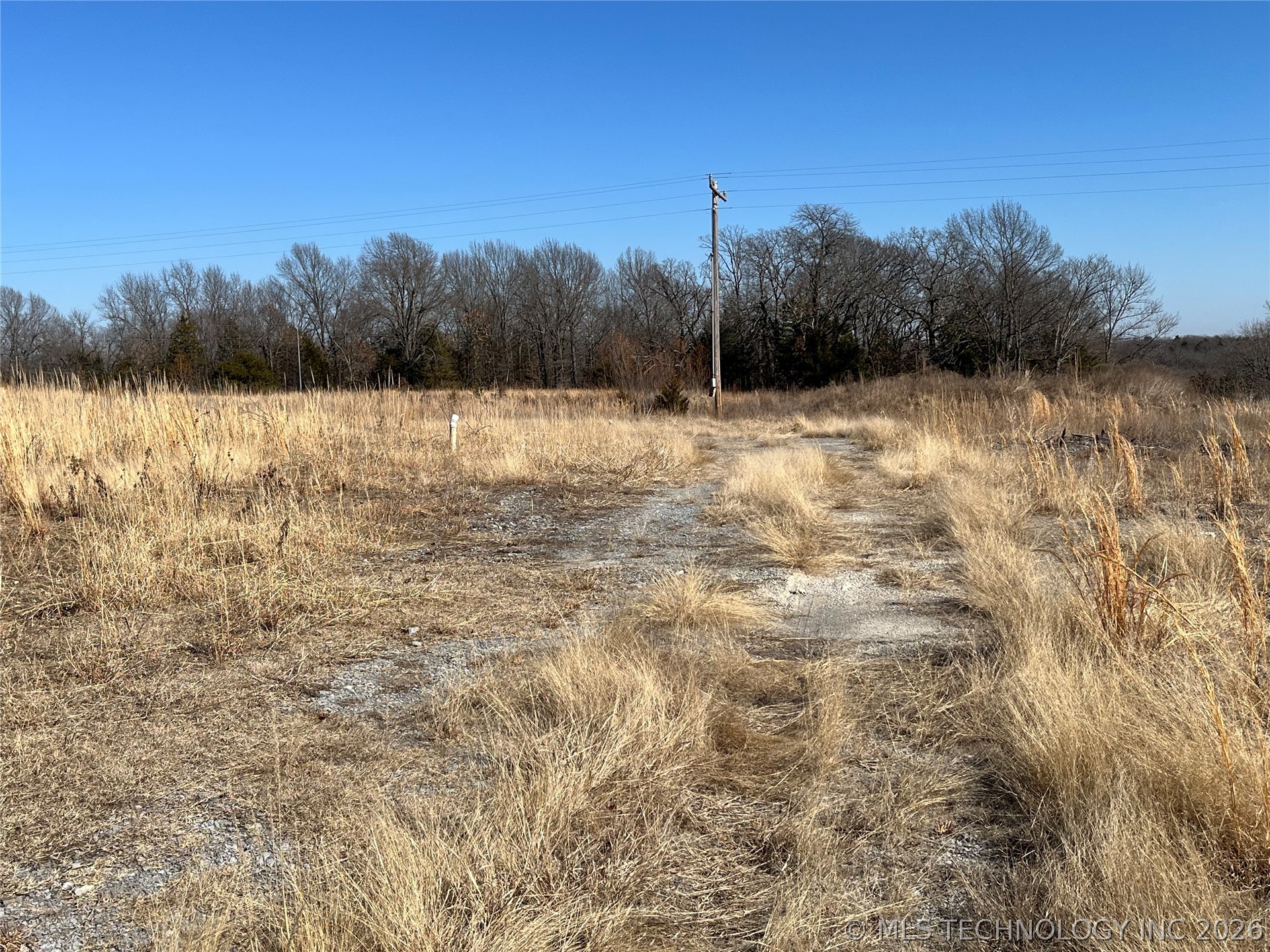 9226 County Road 3647 Property Photo 7