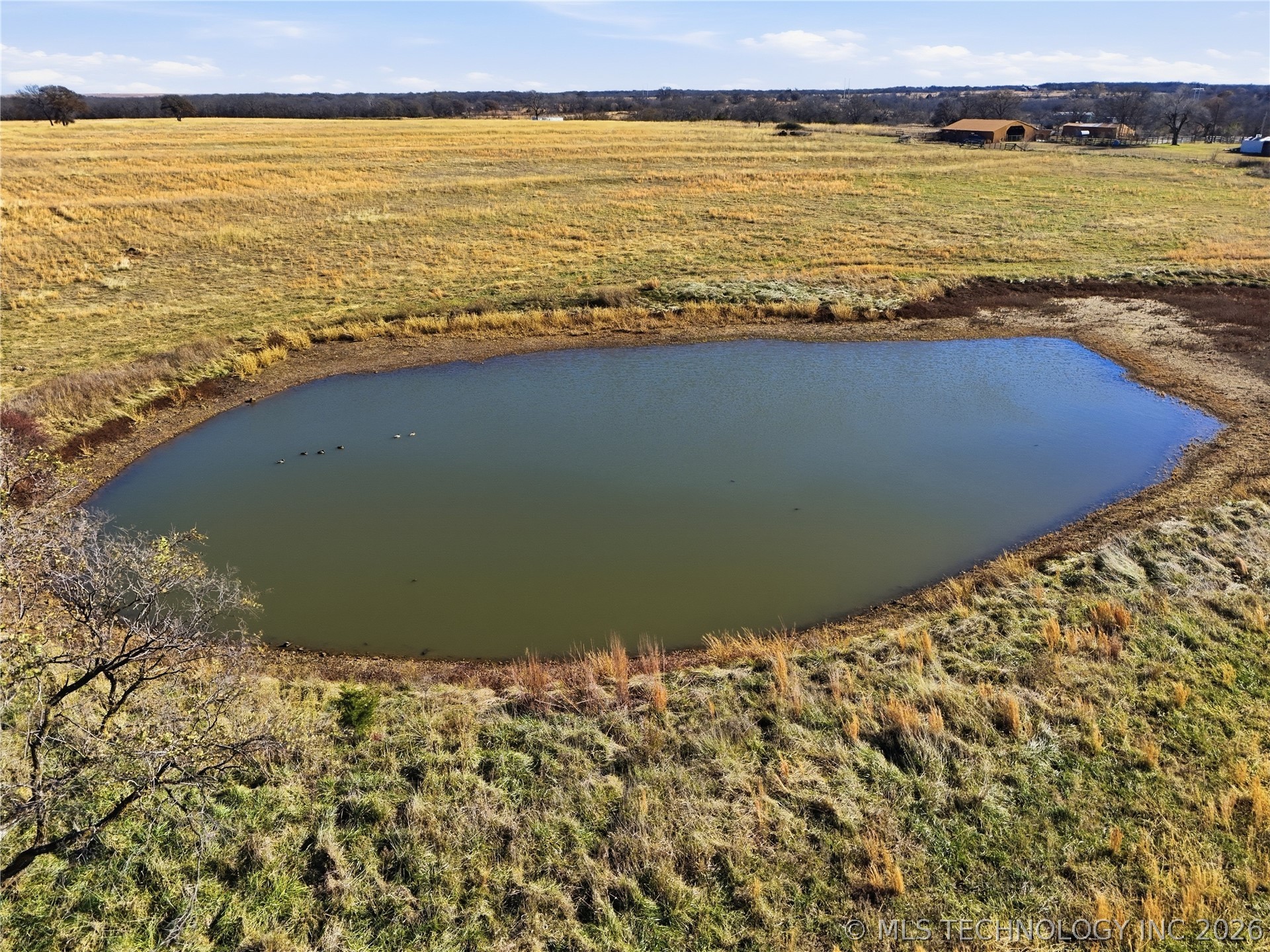 2604655 Property Photo 91