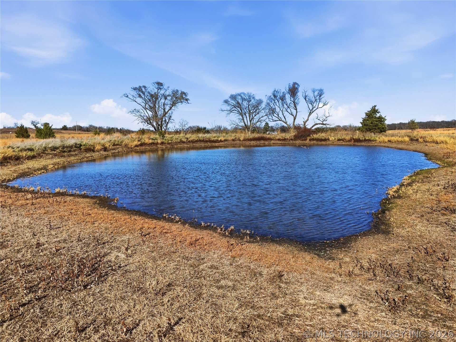 2604655 Property Photo 93