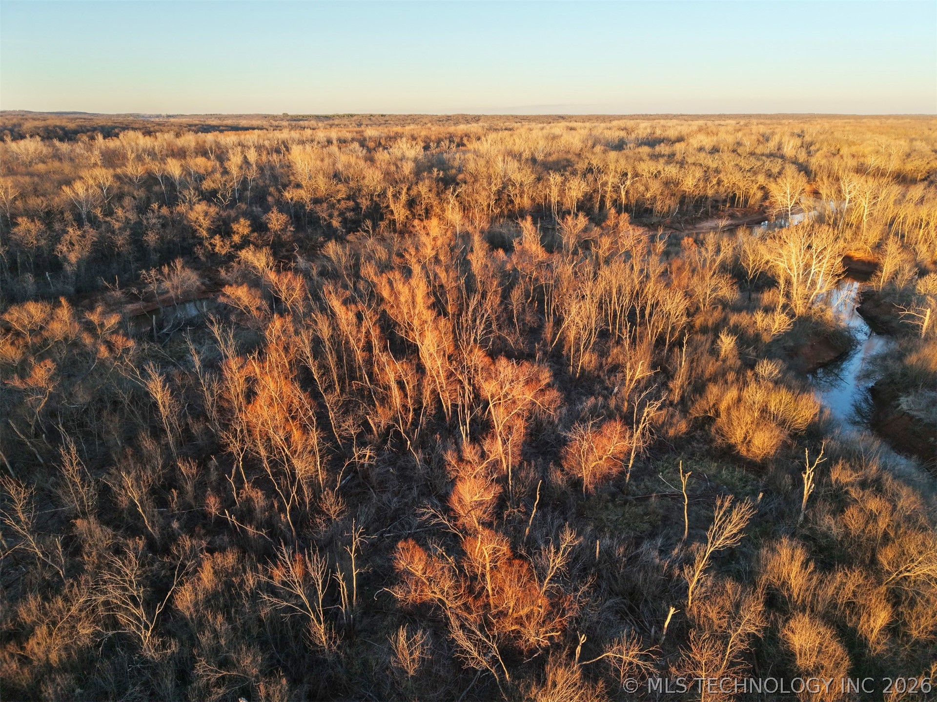 2604682 Property Photo 13