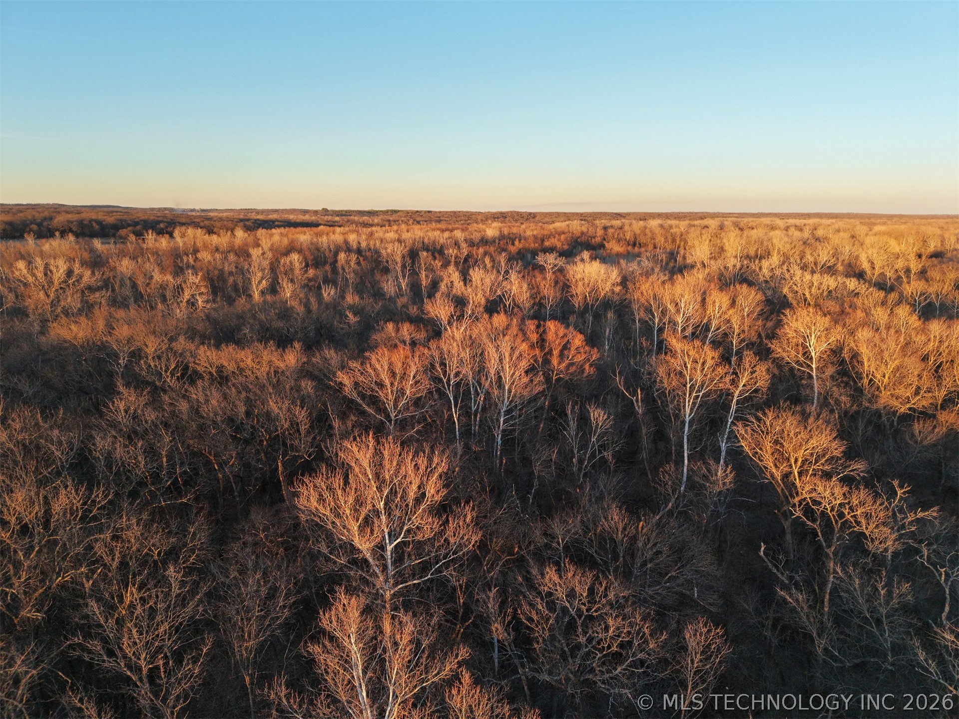 2604682 Property Photo 16