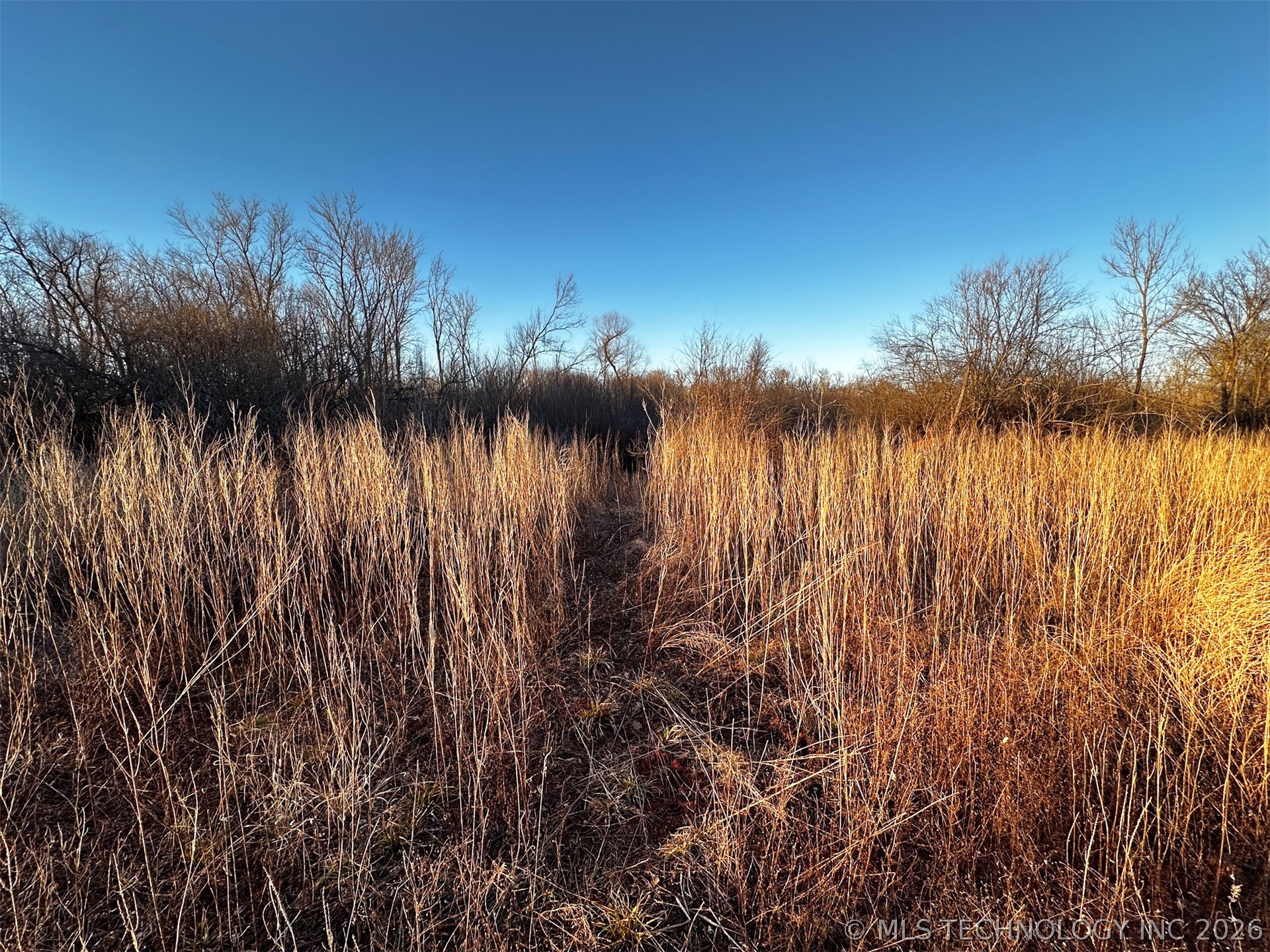 2604682 Property Photo 29