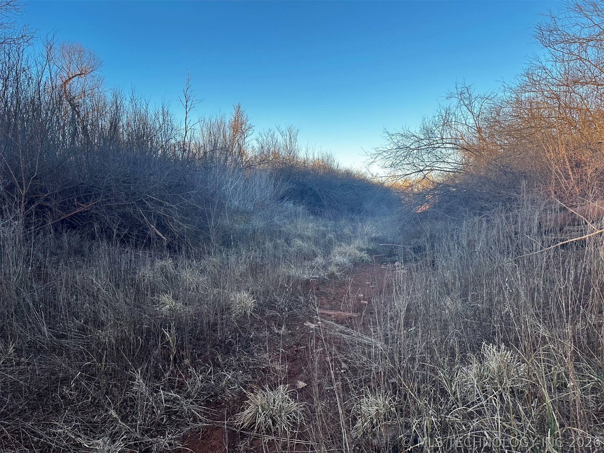 2604682 Property Photo 30