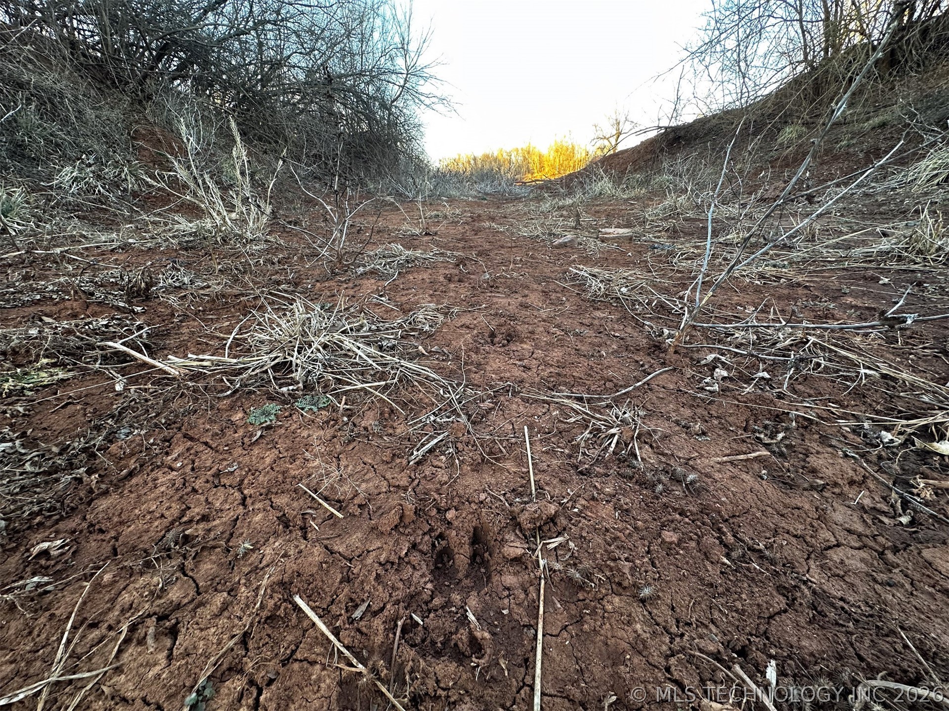 2604682 Property Photo 31