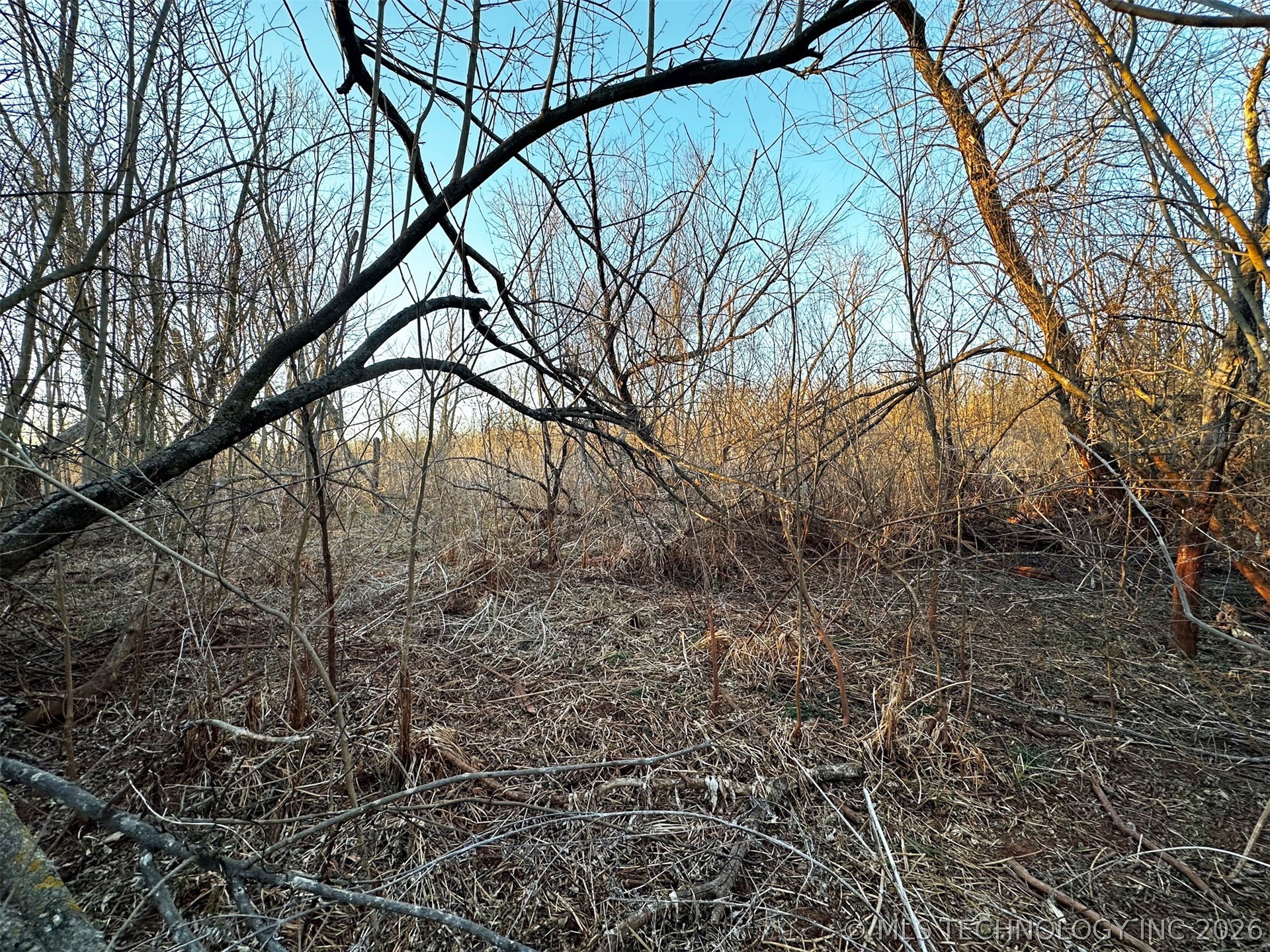 2604682 Property Photo 32