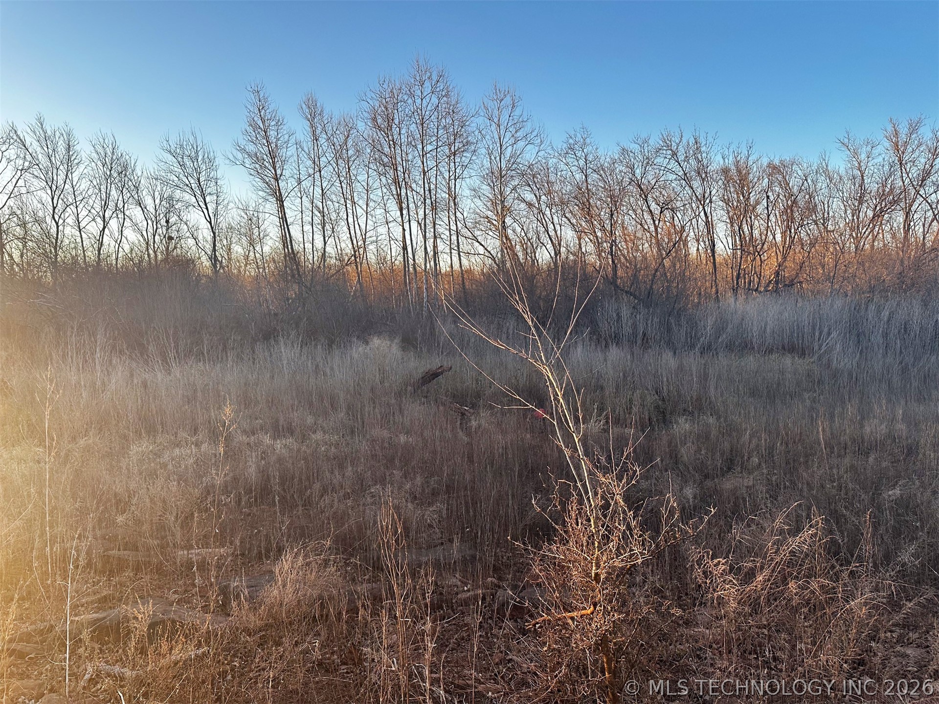 2604682 Property Photo 33