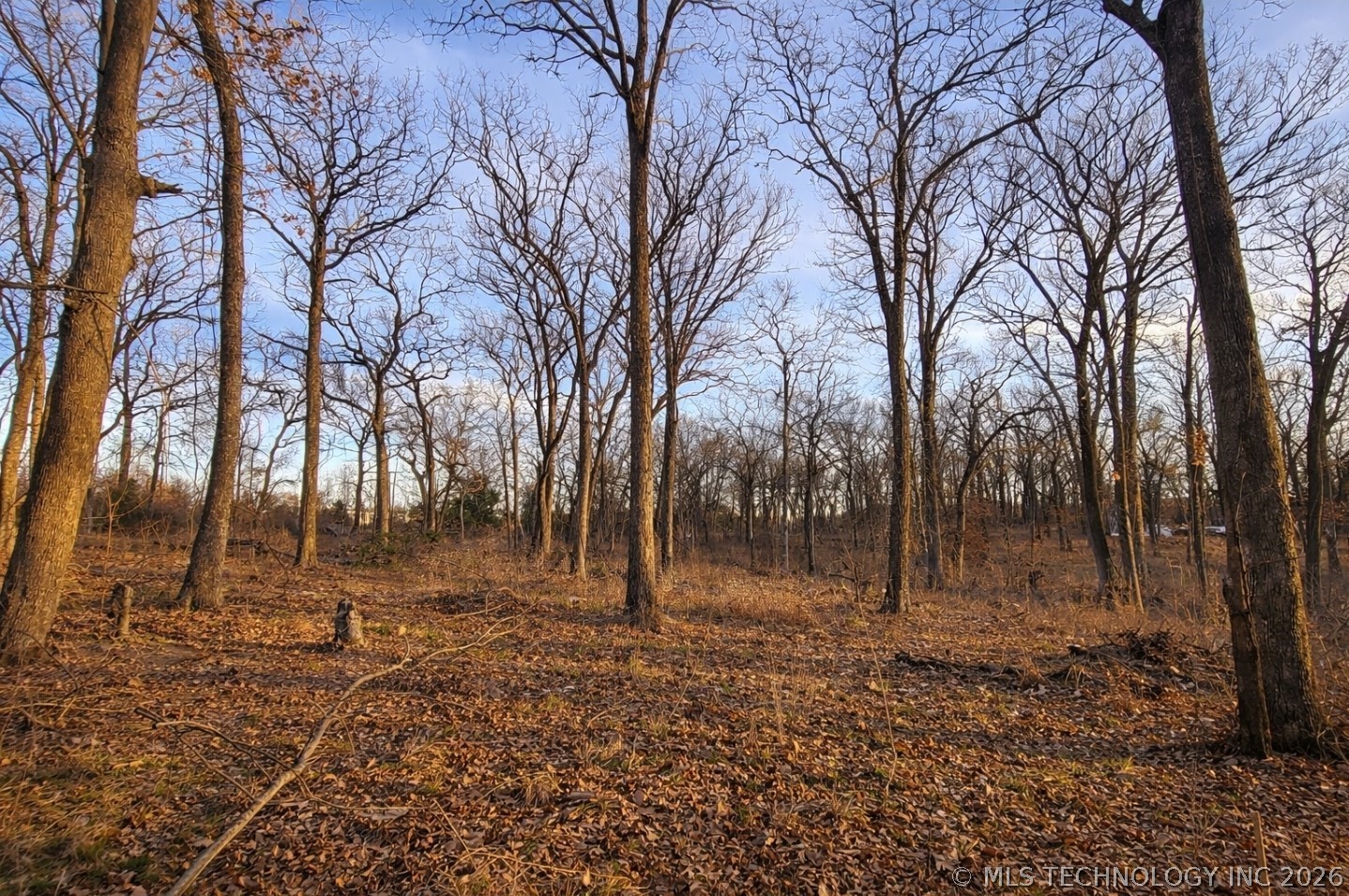 4879 Cobb Road Property Photo 1